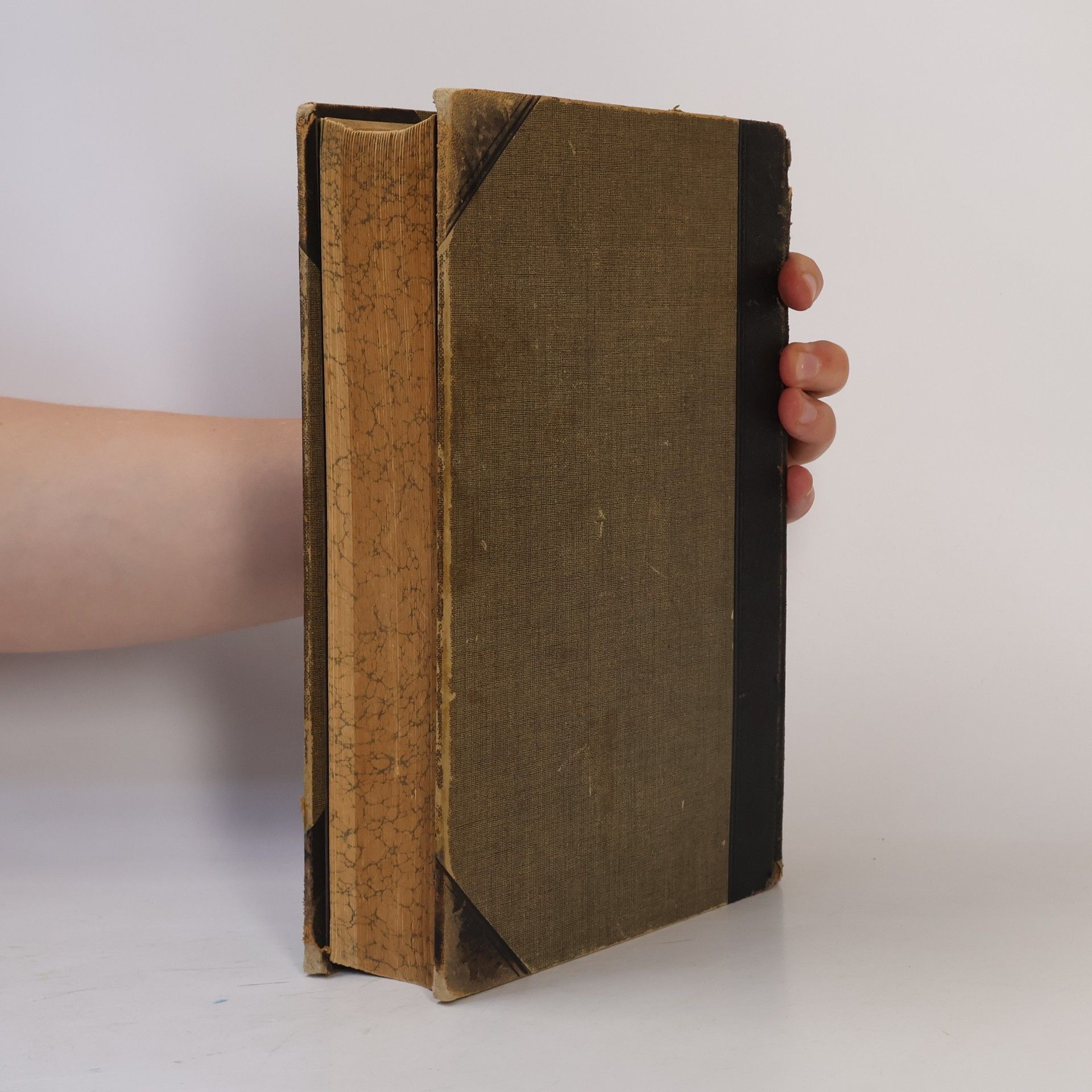 Paul Fabianke Praktische Bibelerklärung. Teil I, Band 5. Das Buch der Richter. Das Buch Ruth