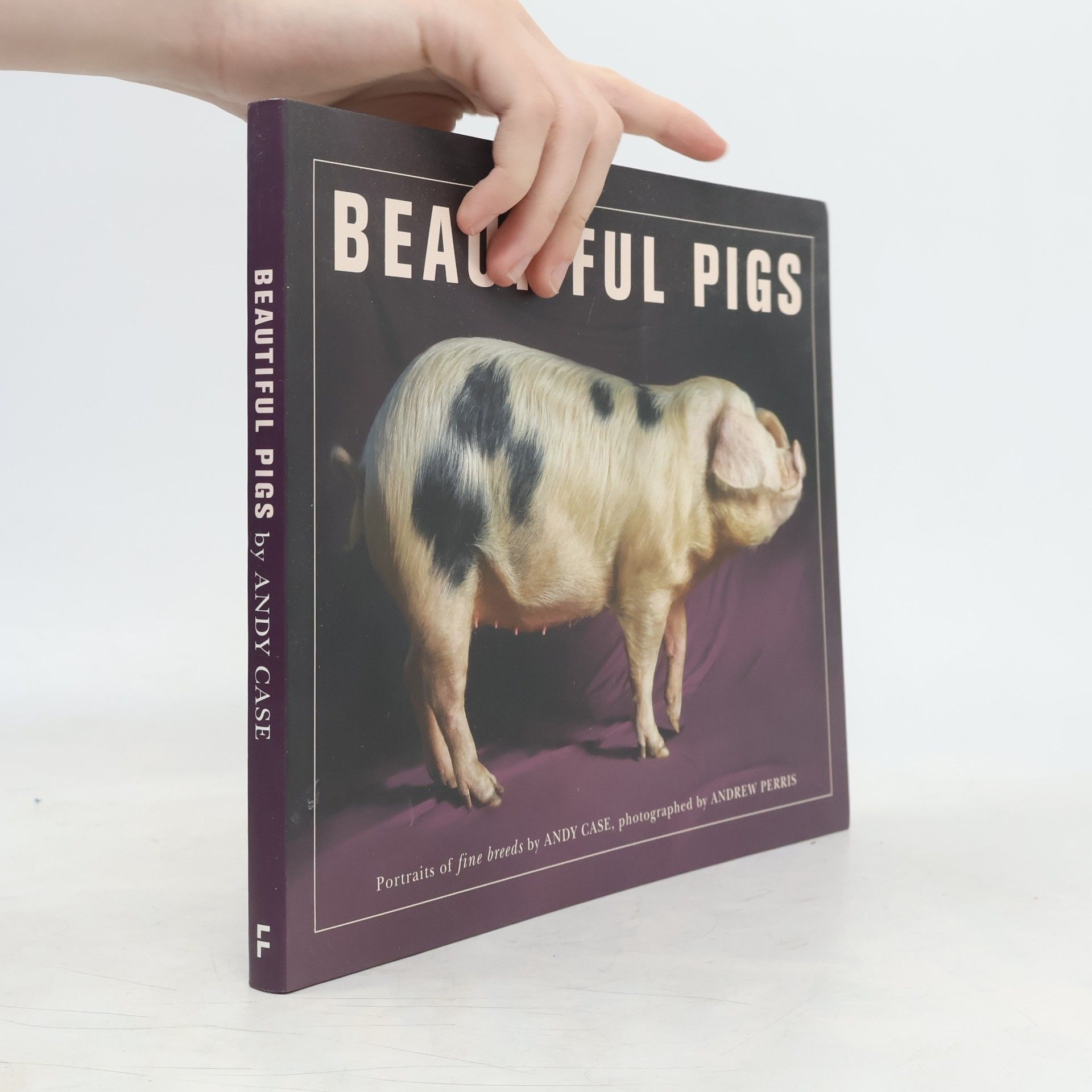 Andrew Perris Beautiful Pigs