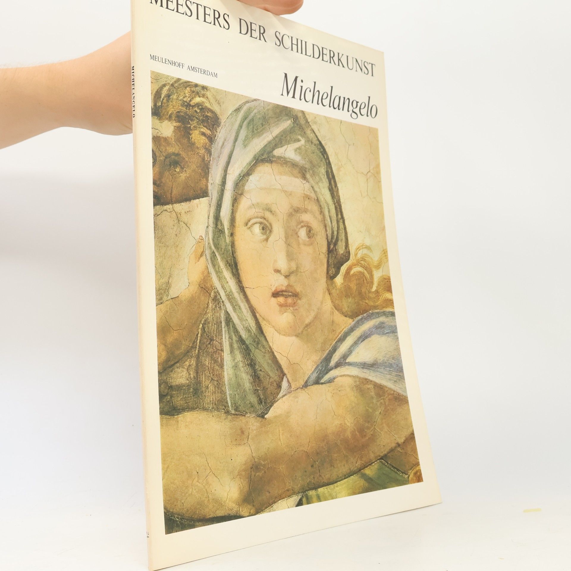 Auteurscollectief Meesters der Schilderkunst: Michelangelo