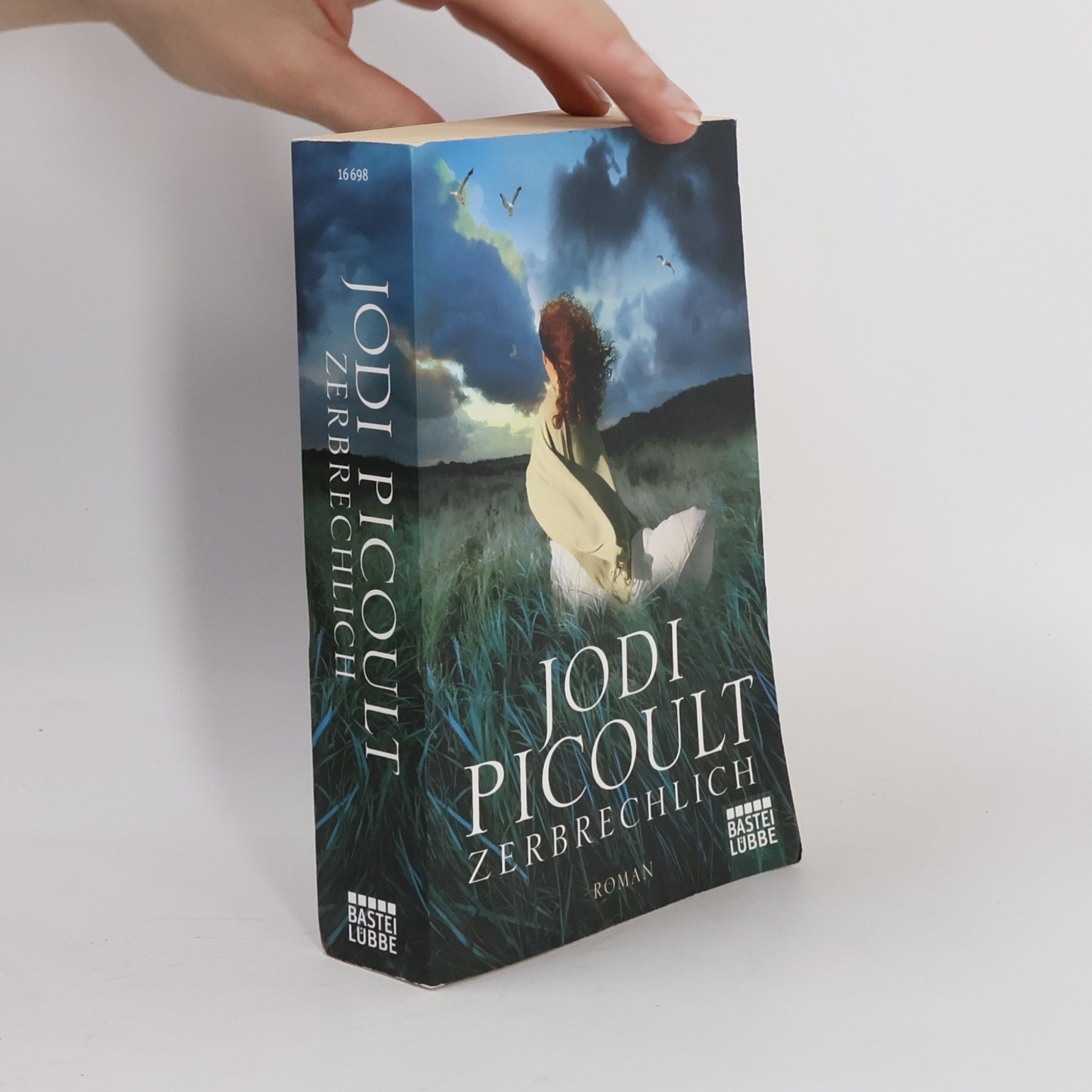 Jodi Picoult Zerbrechlich