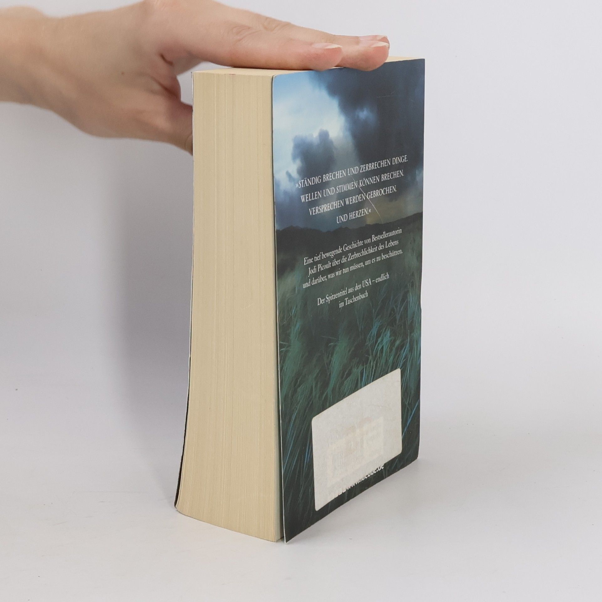 Jodi Picoult Zerbrechlich