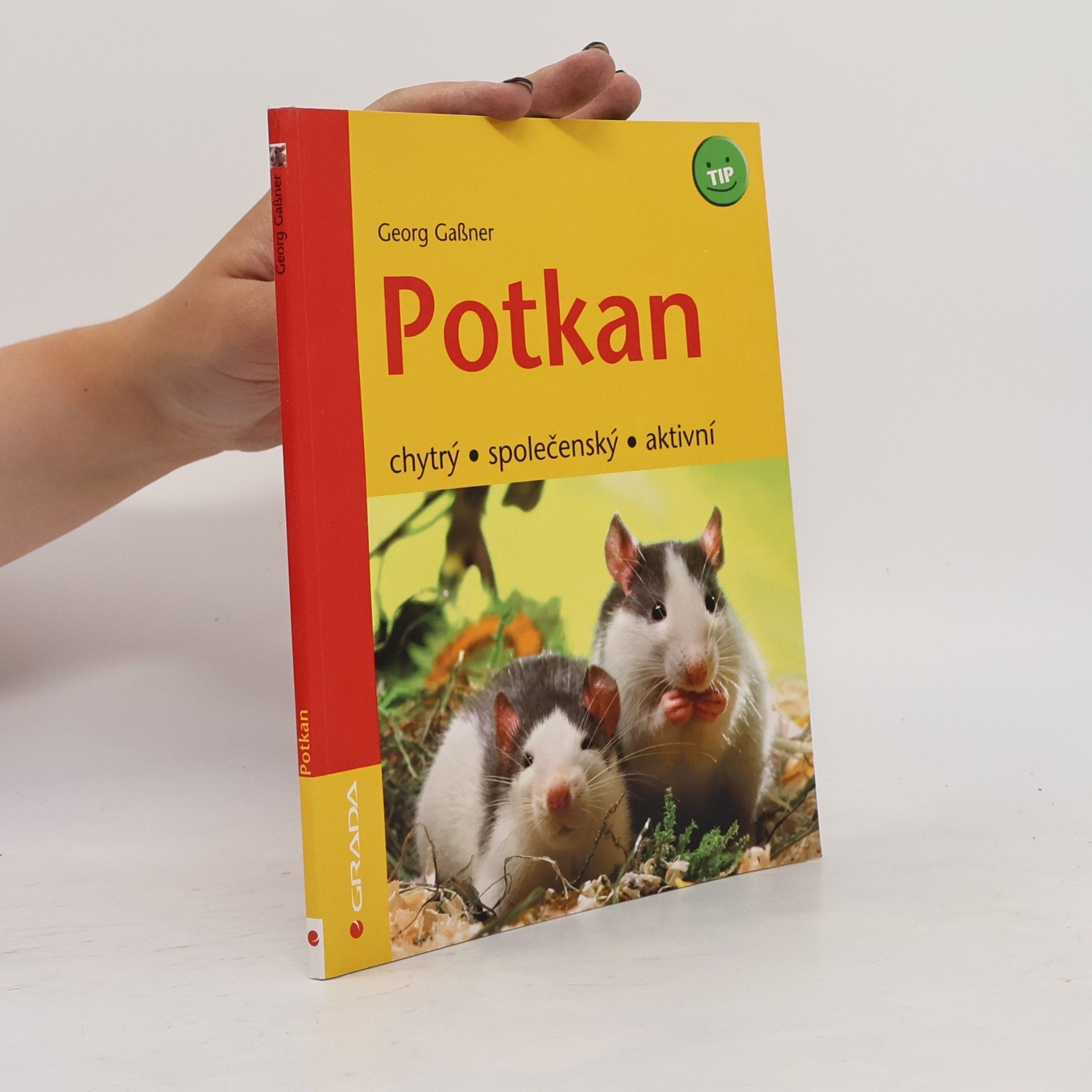 Georg Gaβner Potkan - chytrý, společenský, aktivní