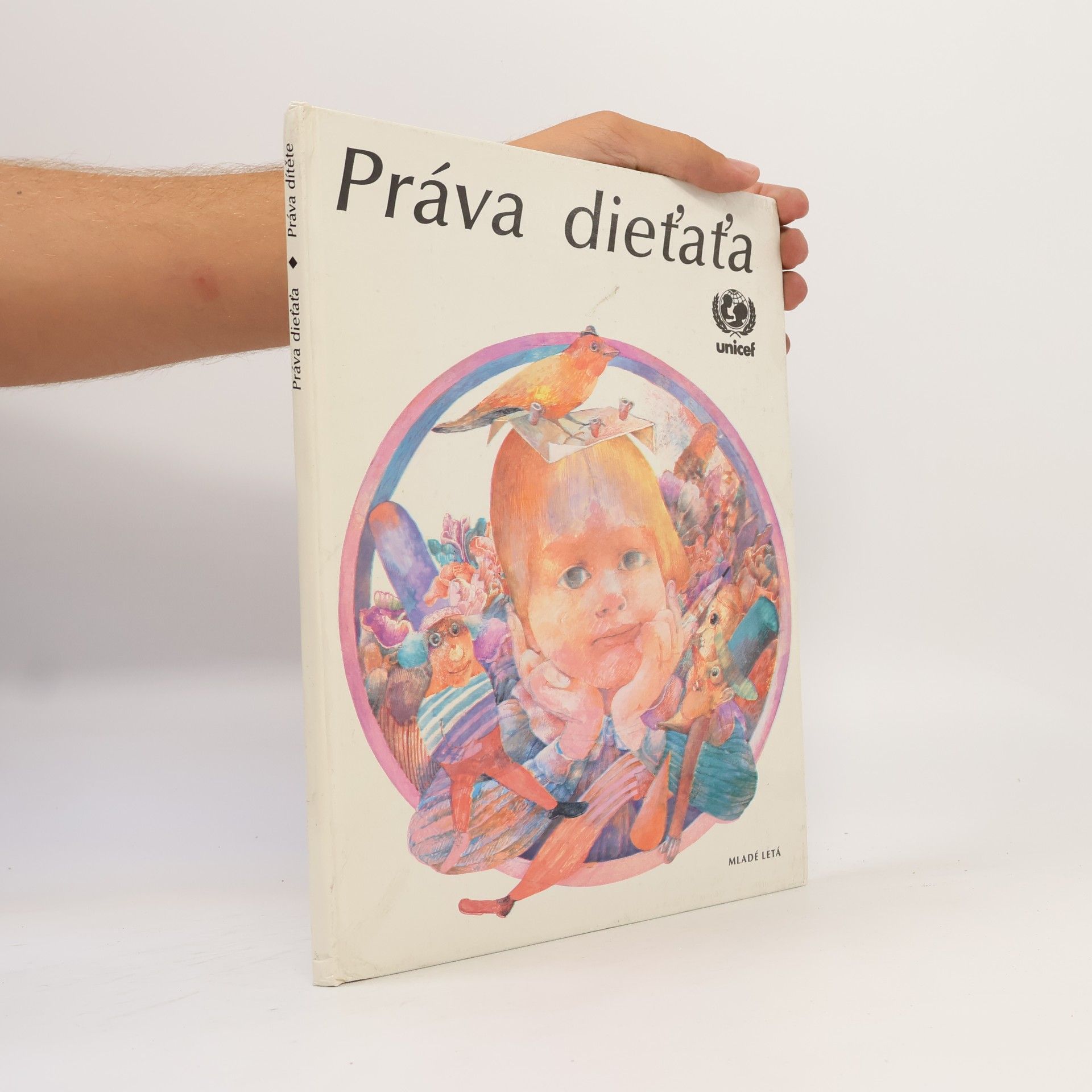 Autorenkollektiv Práva dieťaťa / Práva dítěte