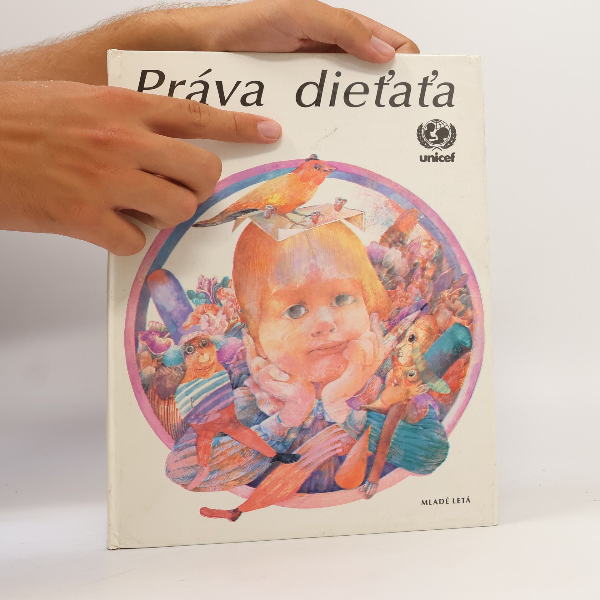 Autorenkollektiv Práva dieťaťa / Práva dítěte