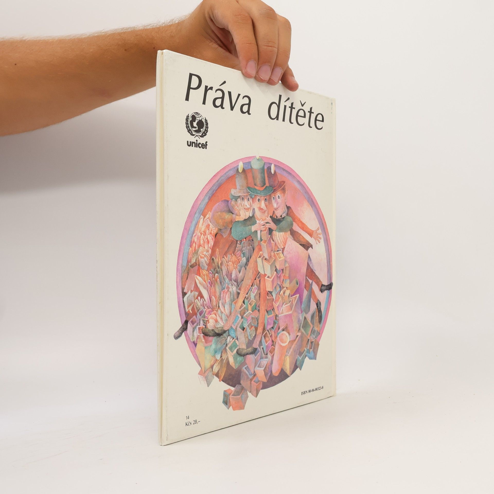 Autorenkollektiv Práva dieťaťa / Práva dítěte
