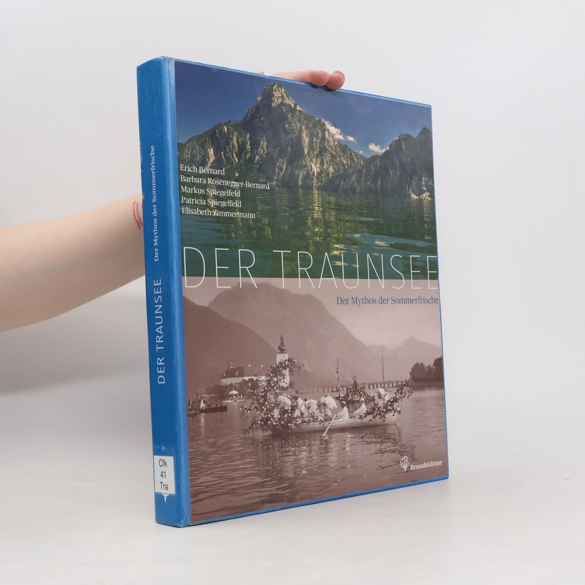 Der Traunsee