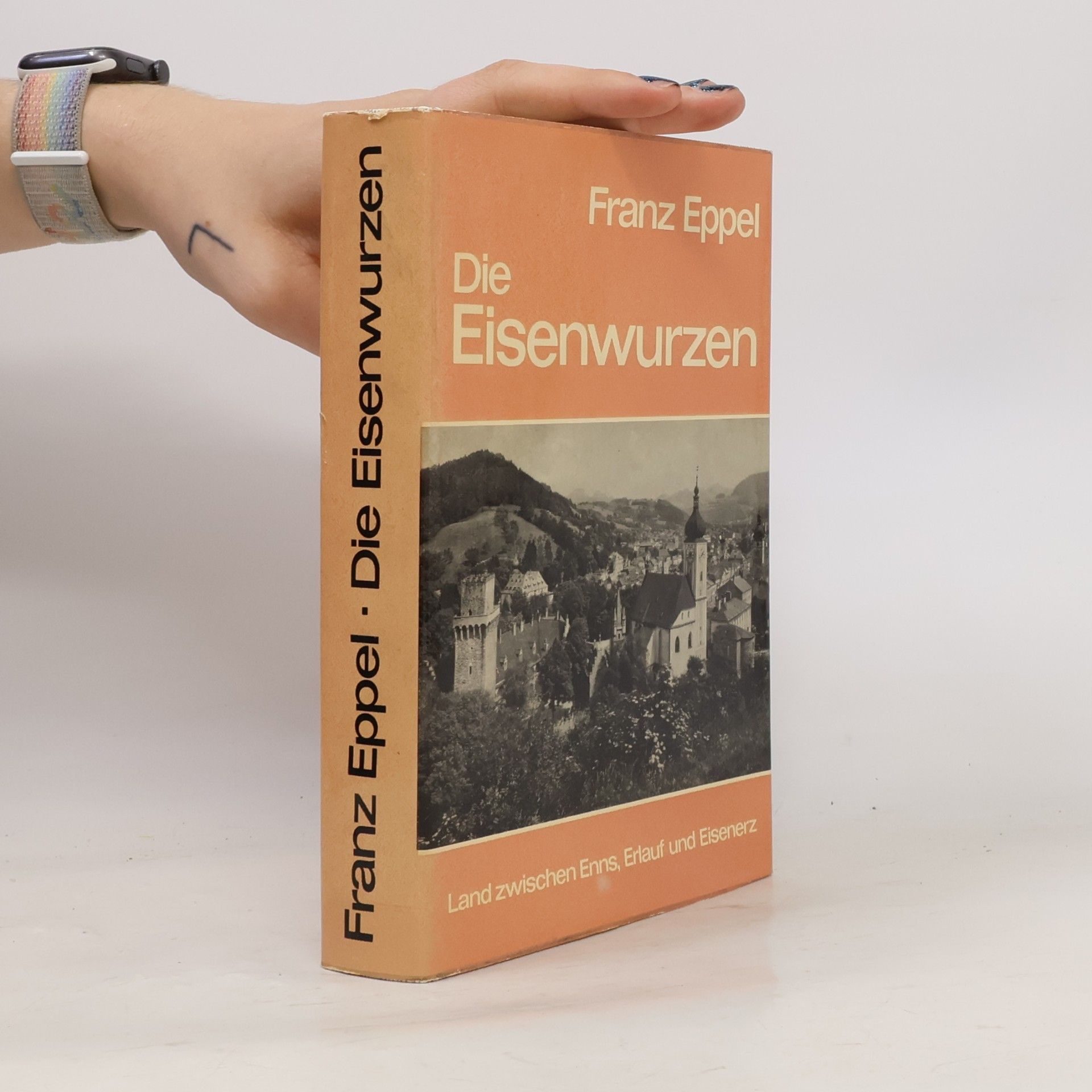 Die Eisenwurzen