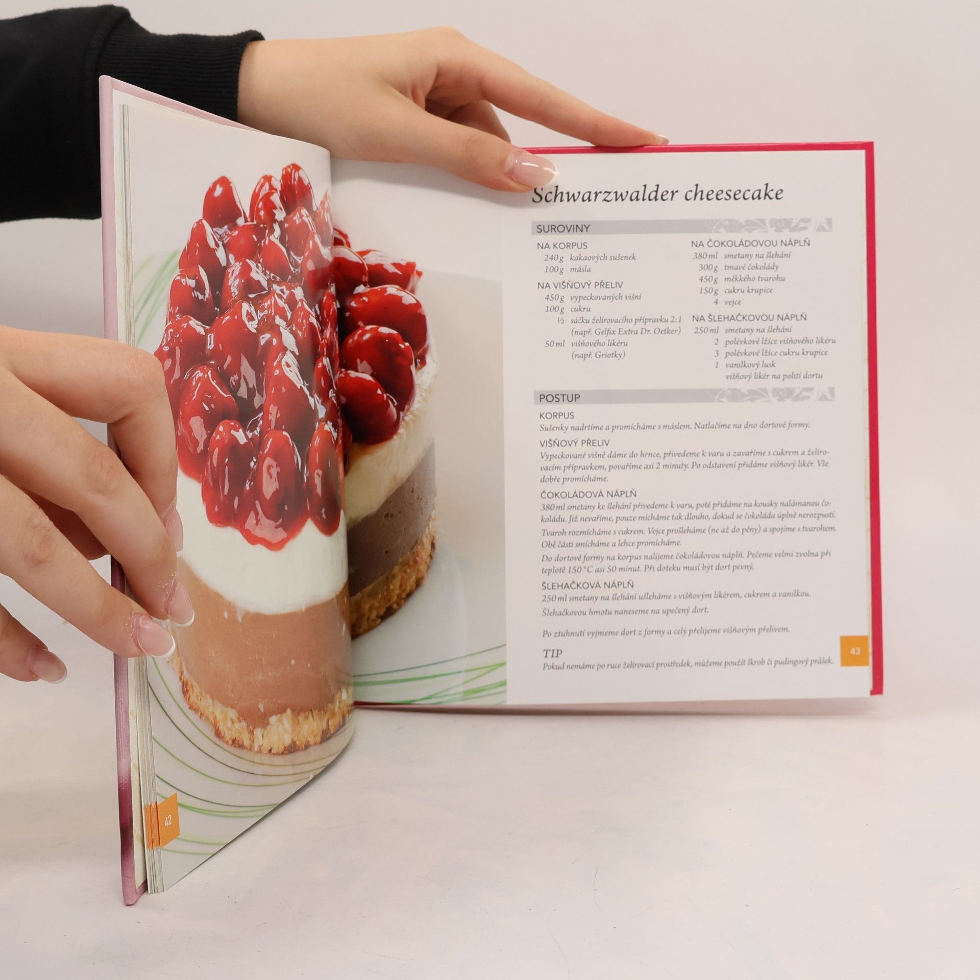 Mirka van Gils Slavíková Cheesecakes
