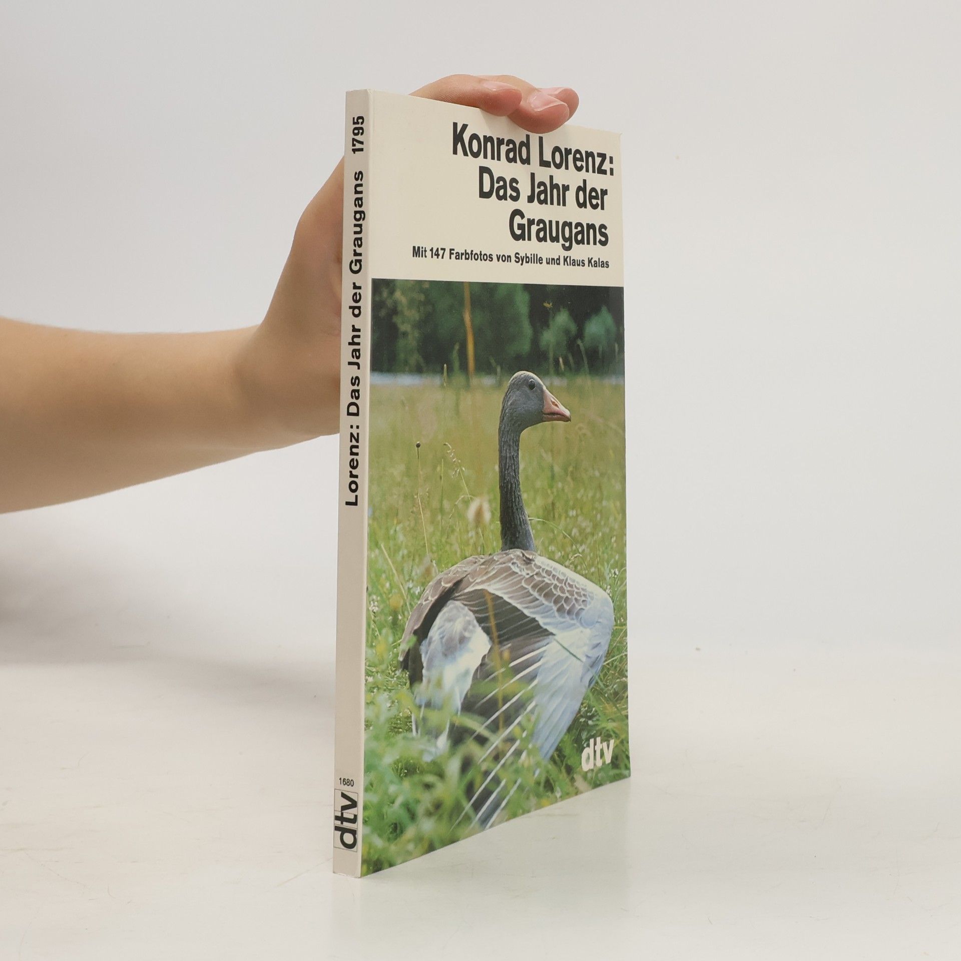 Konrad Lorenz Das Jahr der Graugans