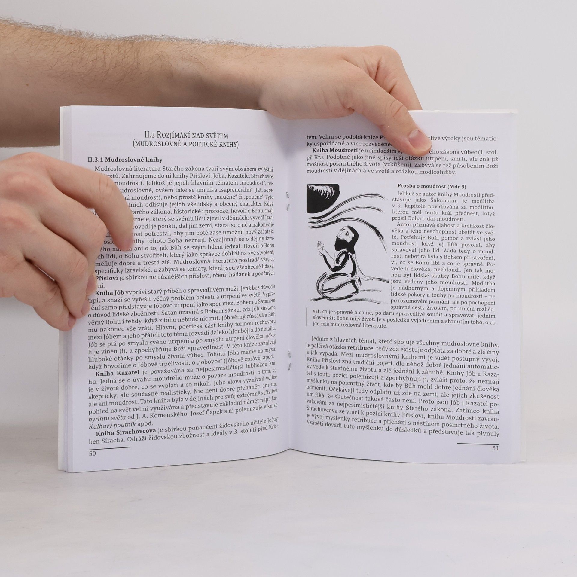 Adam Mackerle Bible - mnoho hlasů, jedno slovo