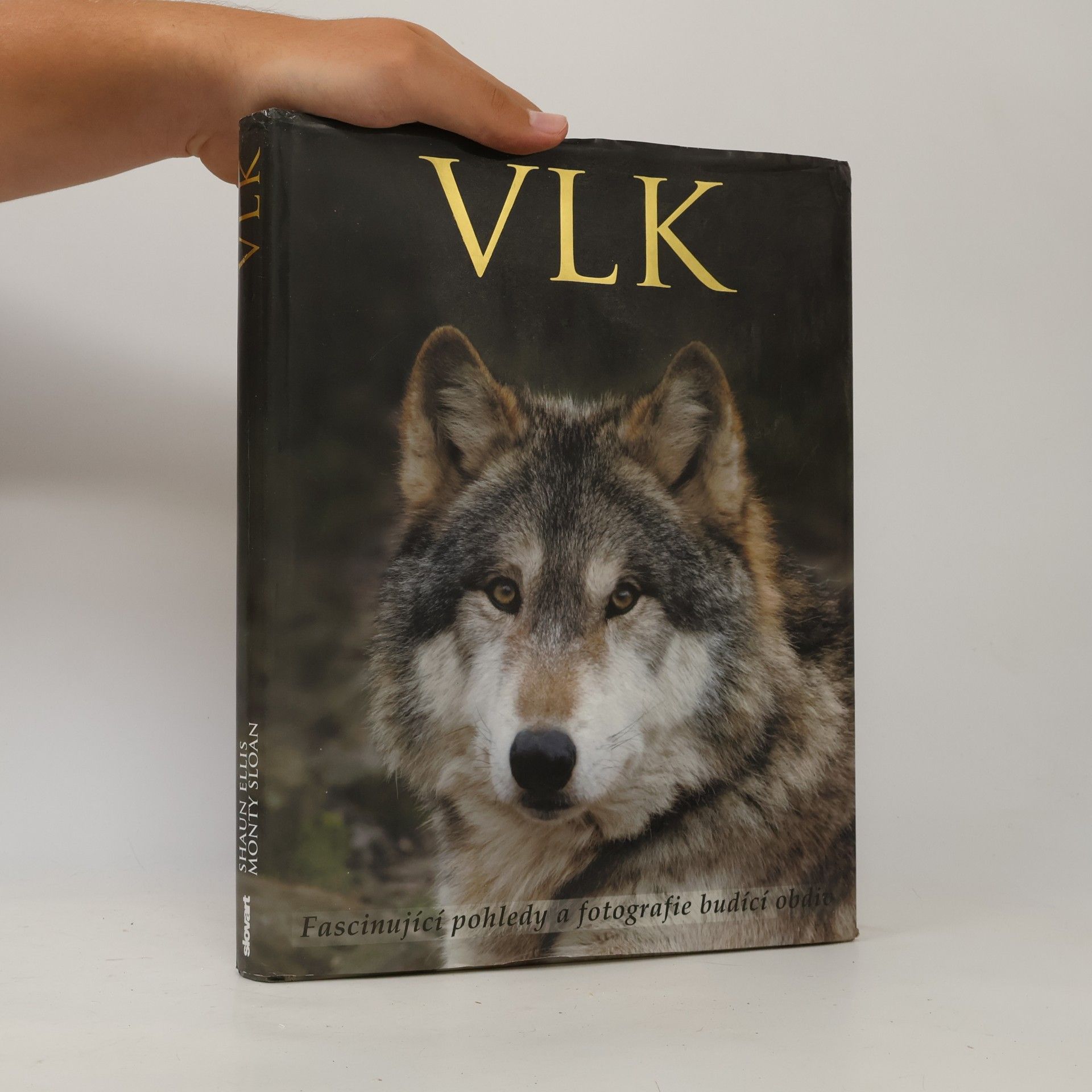 Shaun Ellis Vlk: Fascinující pohledy a fotografie budící obdiv