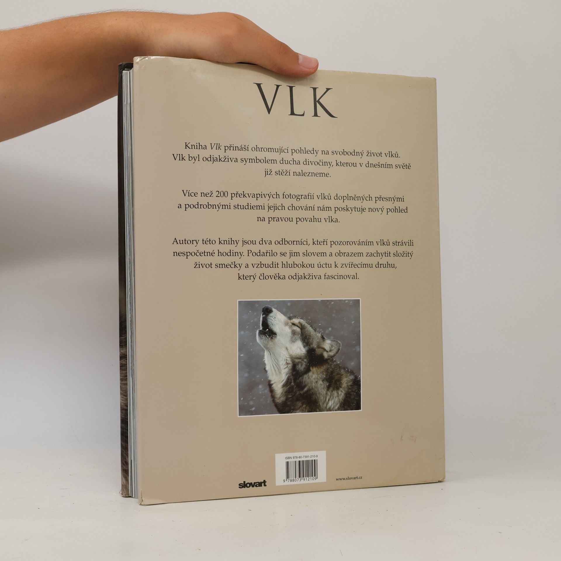Shaun Ellis Vlk: Fascinující pohledy a fotografie budící obdiv