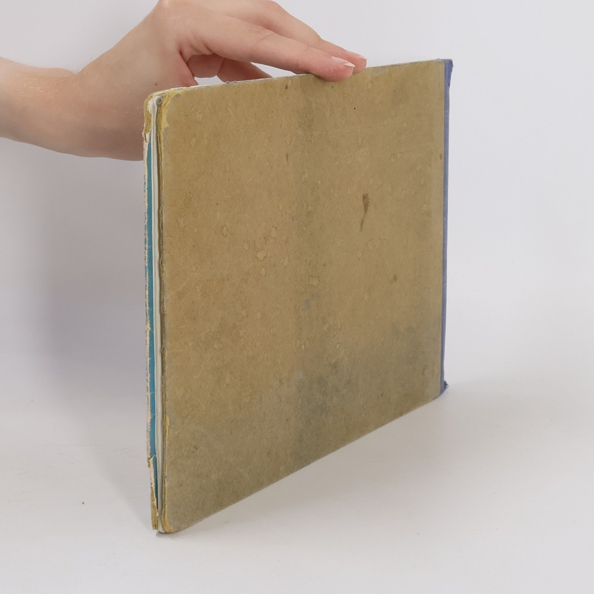 Marthe Coqui Des Kindes erstes Weihnachtsbuch