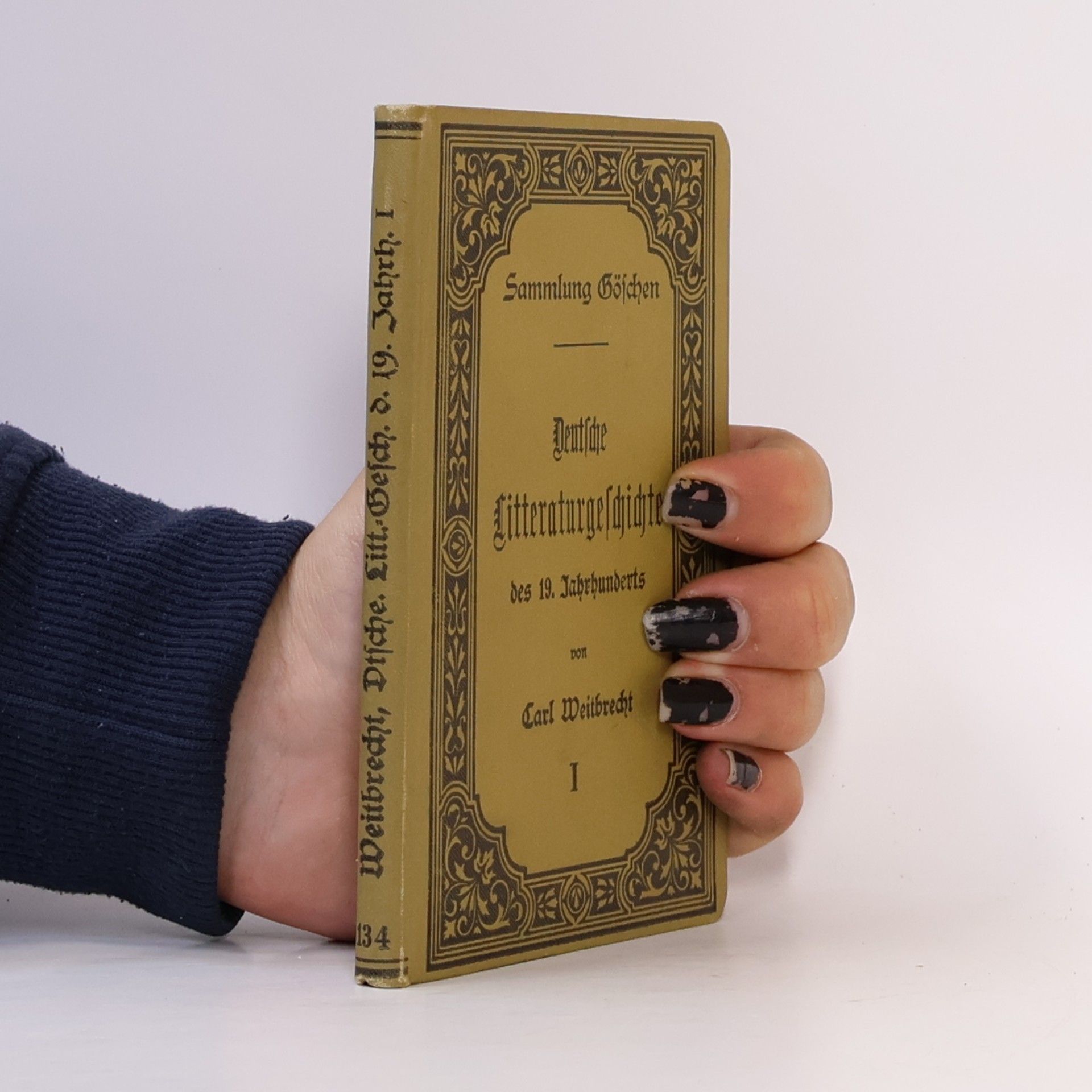Deutsche Literaturgeschichte des 19. Jahrhunderts
