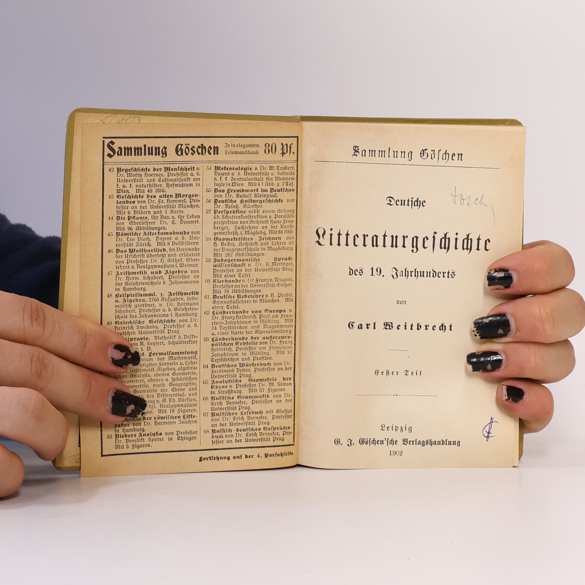 Carl Weitbrecht Deutsche Literaturgeschichte des 19. Jahrhunderts