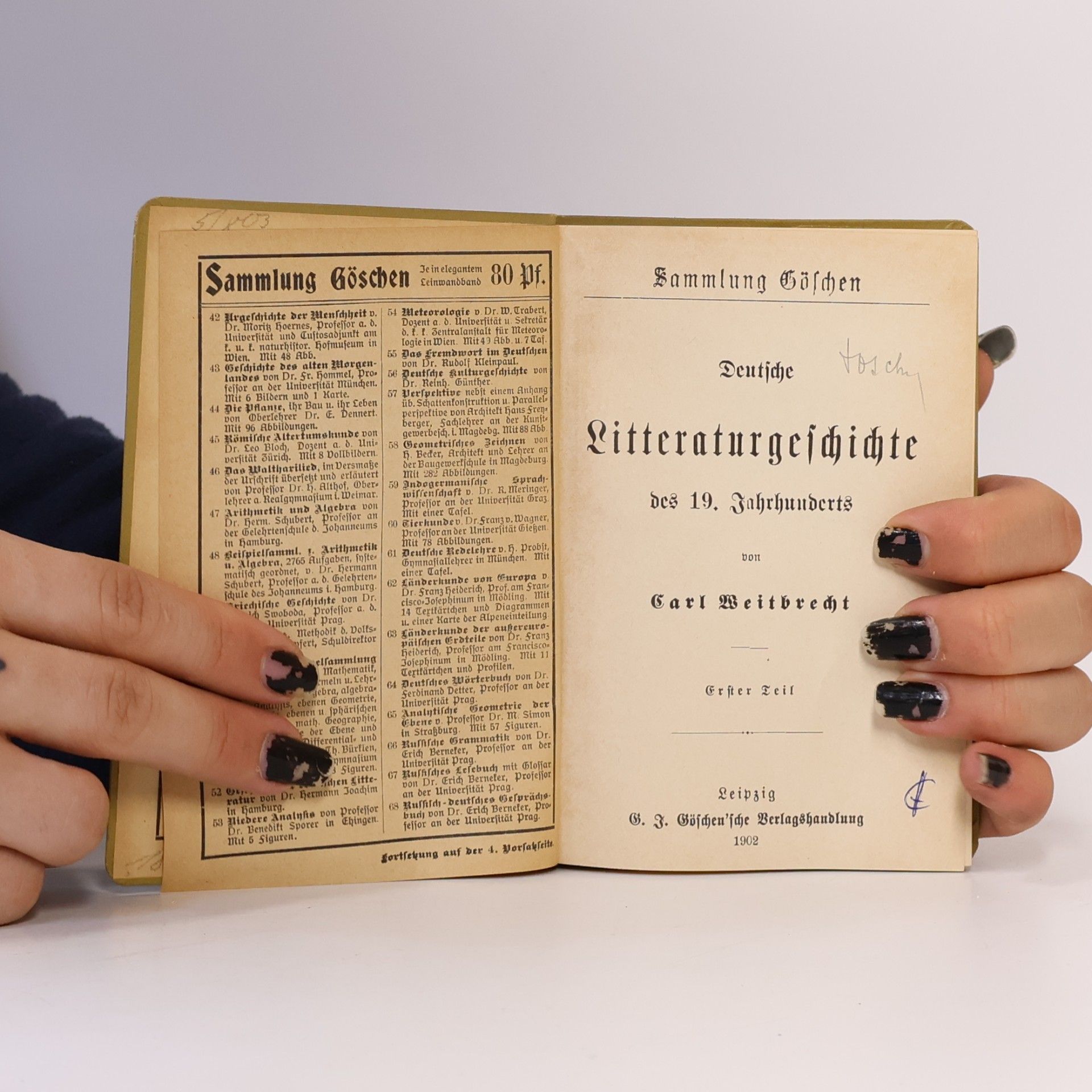 Carl Weitbrecht Deutsche Literaturgeschichte des 19. Jahrhunderts