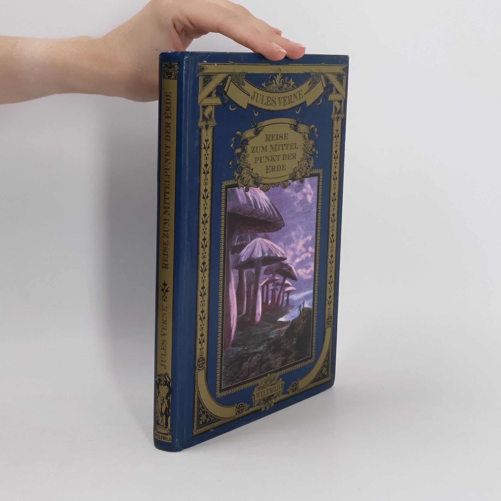 Jules Verne Reise zum Mittelpunkt der Erde