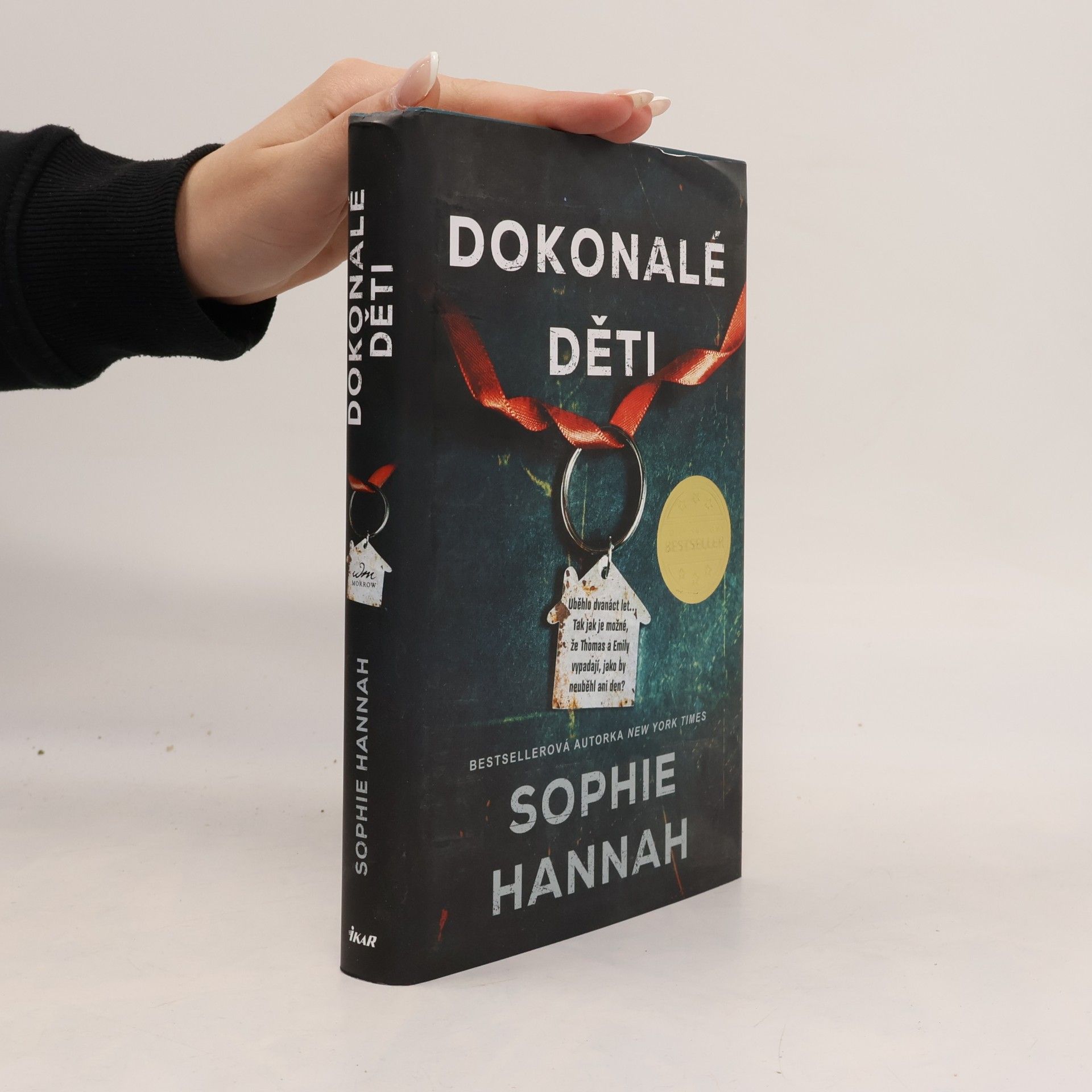 Sophie Hannah Dokonalé děti