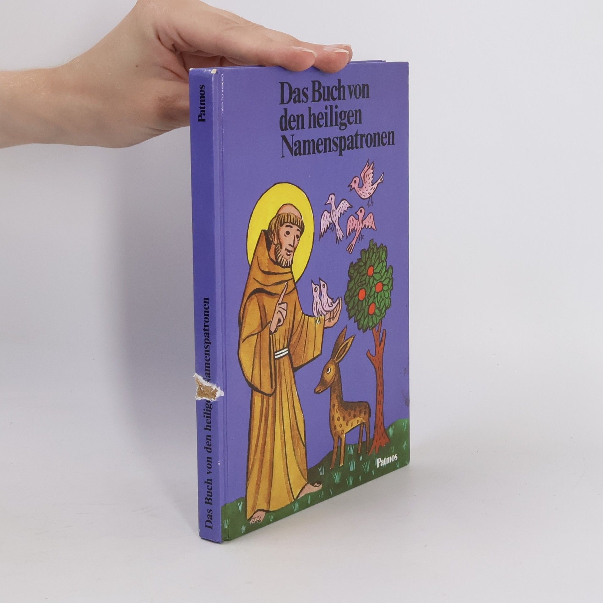 Das Buch von den heiligen Namenspatronen