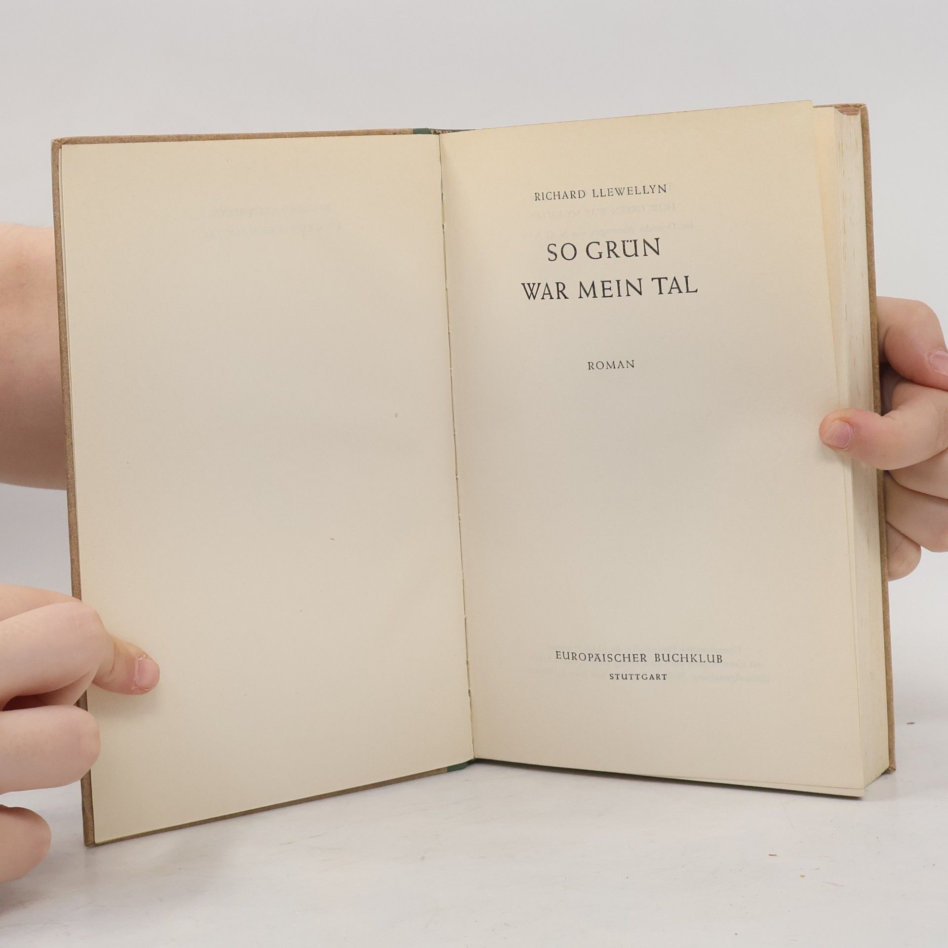 Richard Llewellyn So grün war mein Tal