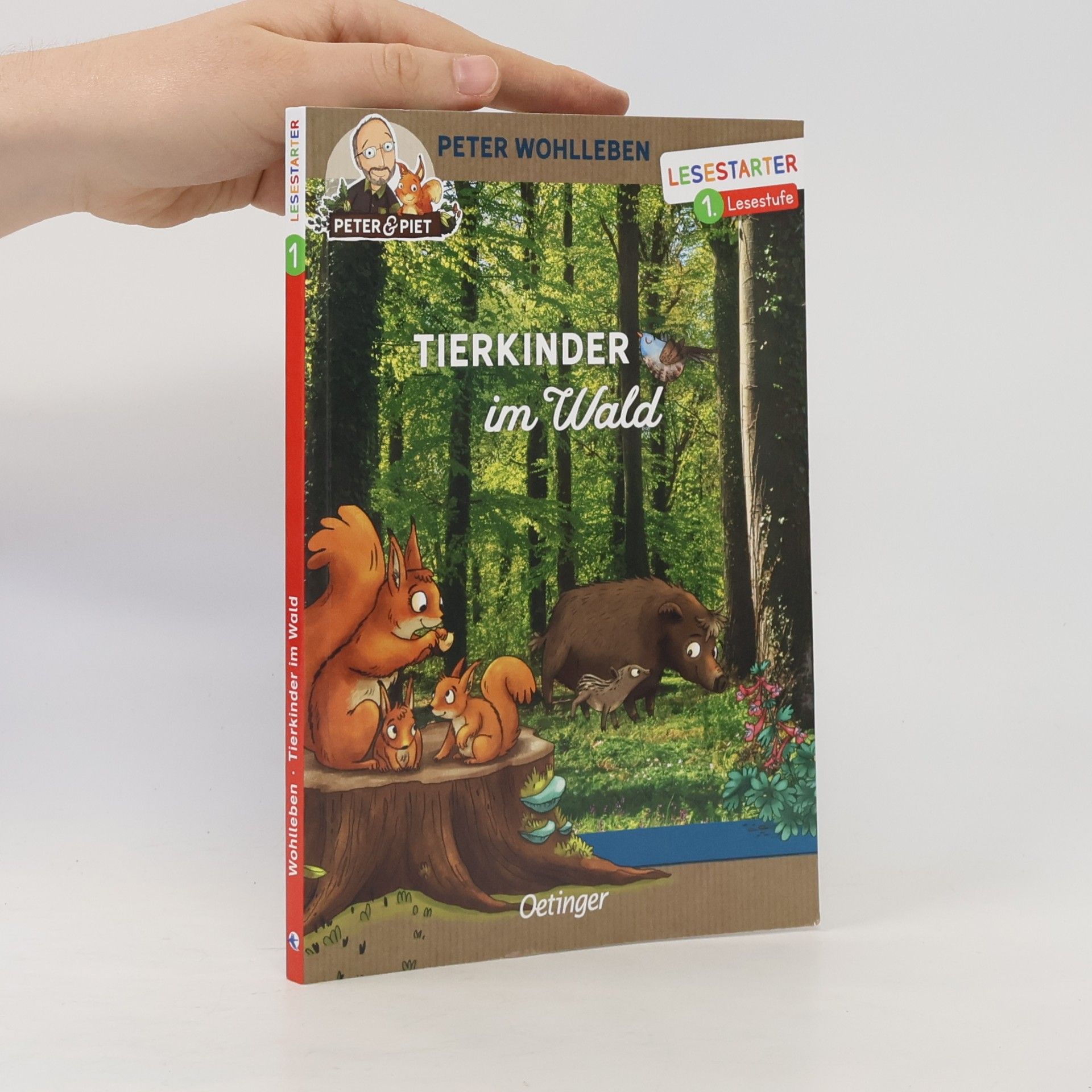 Tierkinder im Wald