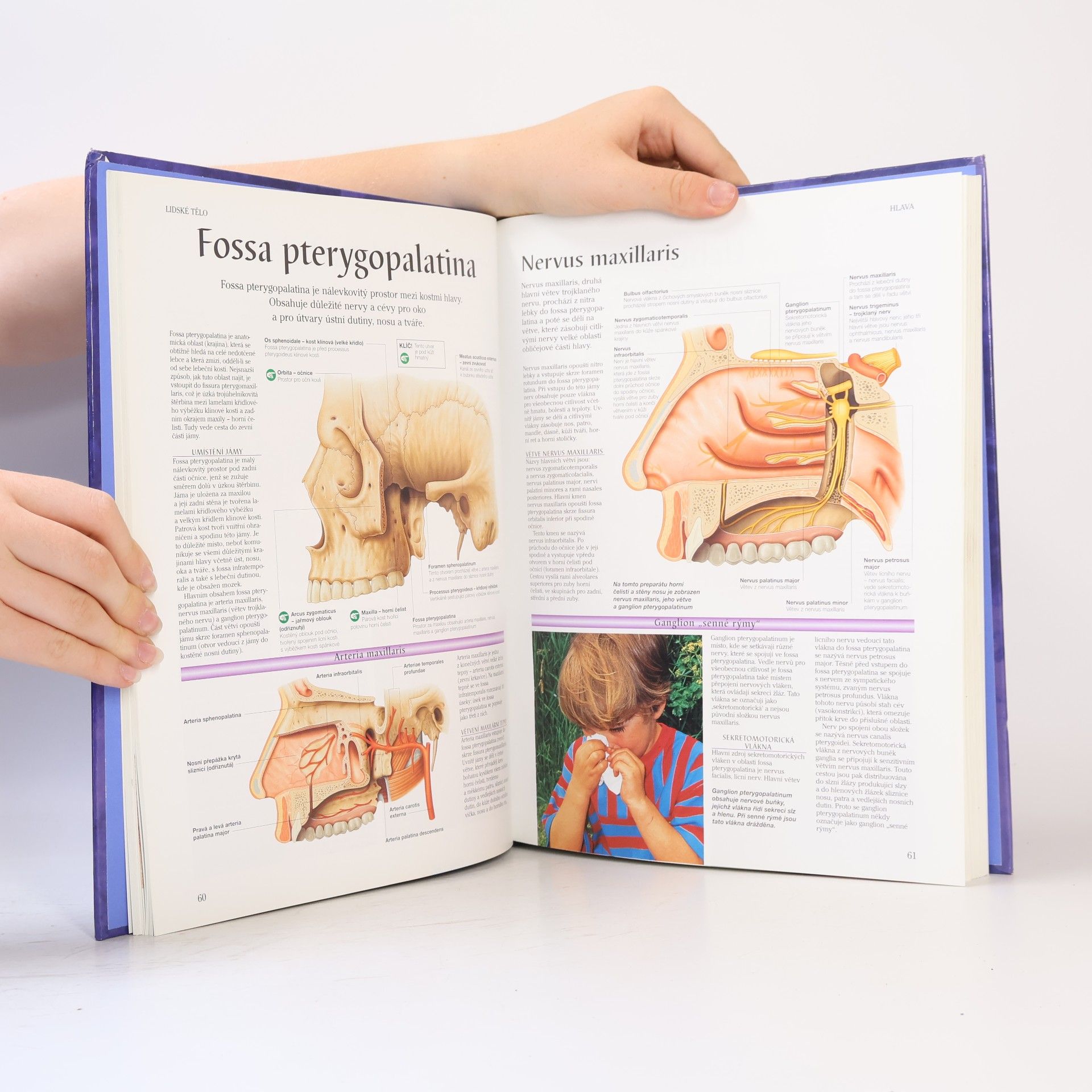 Peter H. Abrahams Lidské tělo : atlas anatomie člověka