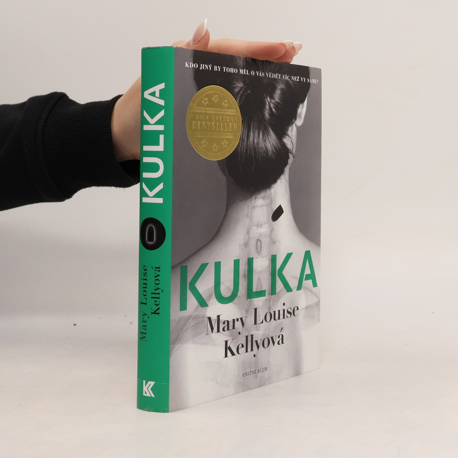 Mary Louise Kelly Kulka