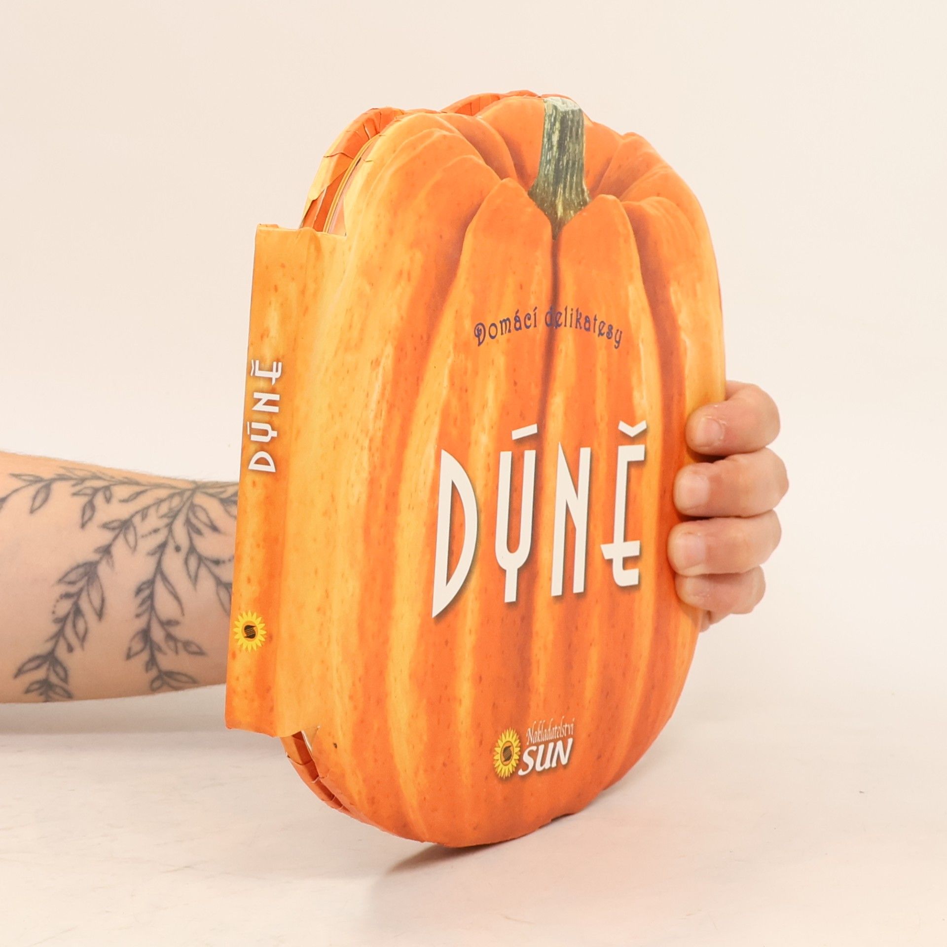 Kolektív autorov Domácí delikatesy: Dýně