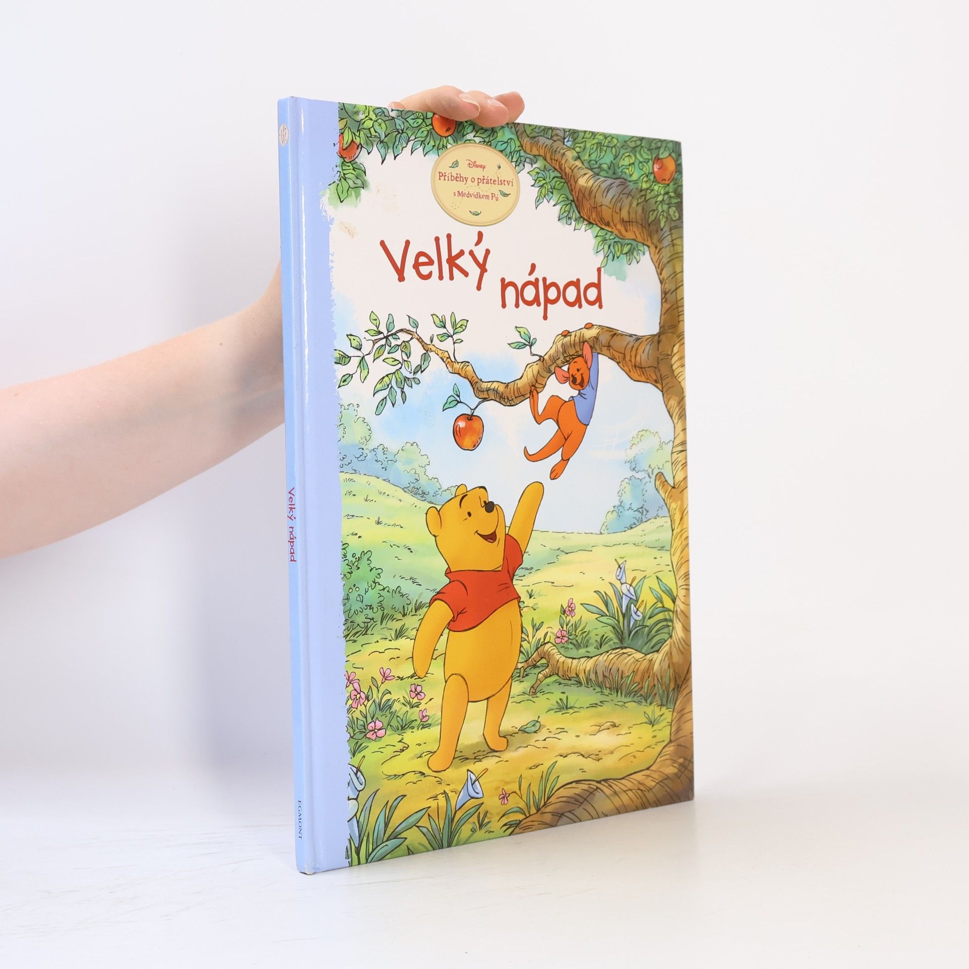 Thea Feldman Příběhy o přátelství - Velký nápad