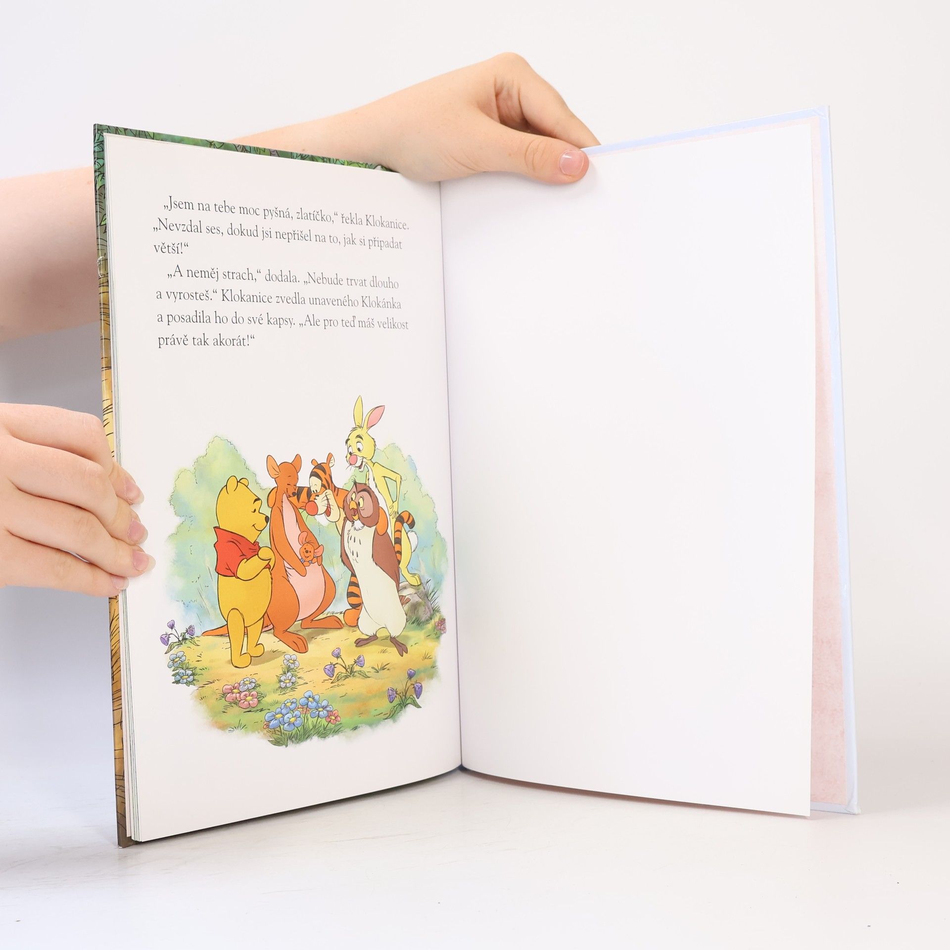 Thea Feldman Příběhy o přátelství - Velký nápad