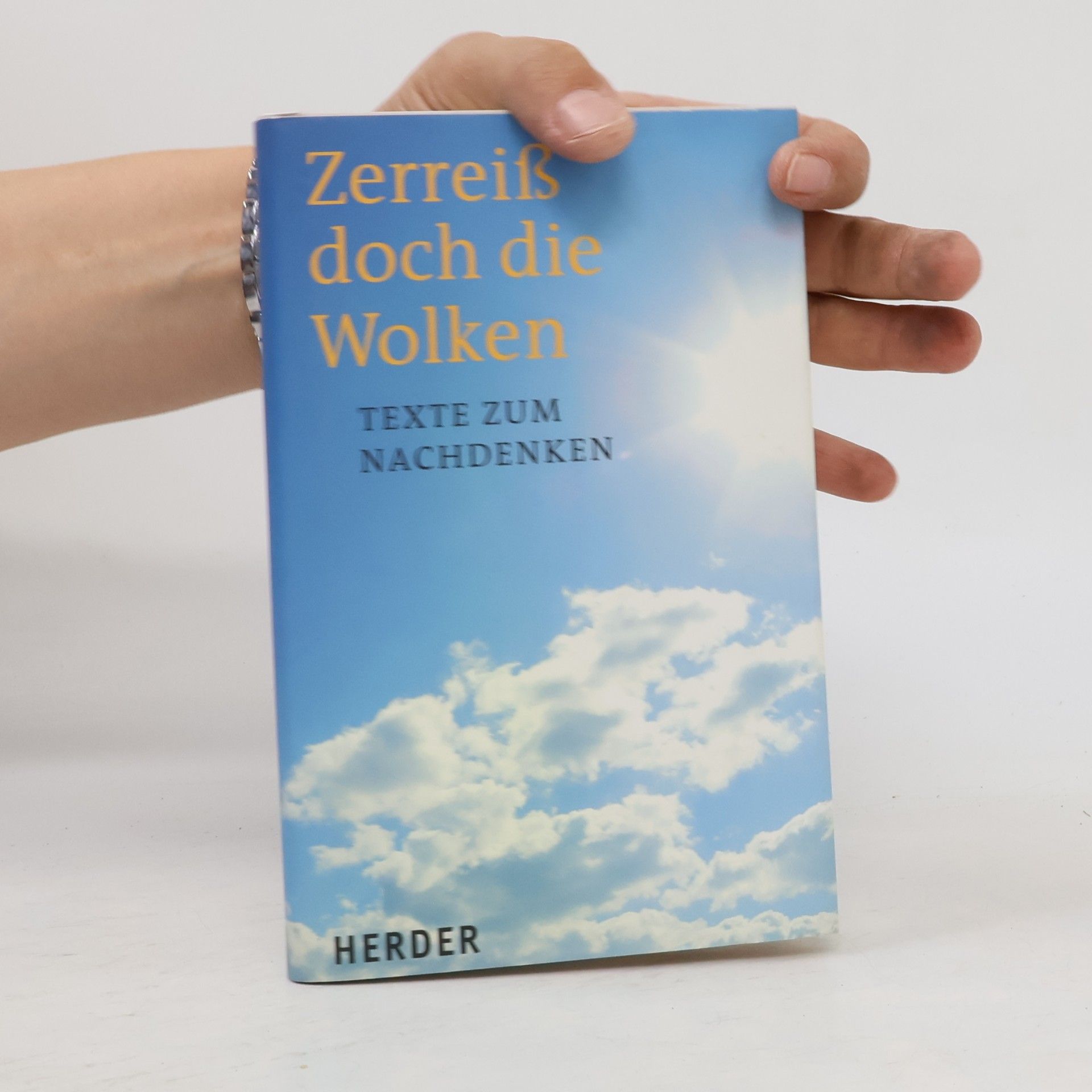 Michael Schlagheck Zerreiß doch die Wolken
