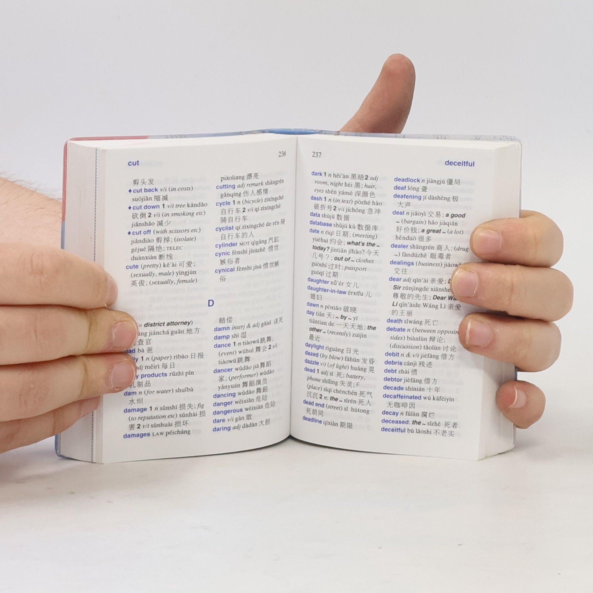 Autorenkollektiv Berlitz Pocket Dictionary Mandarin Chinese