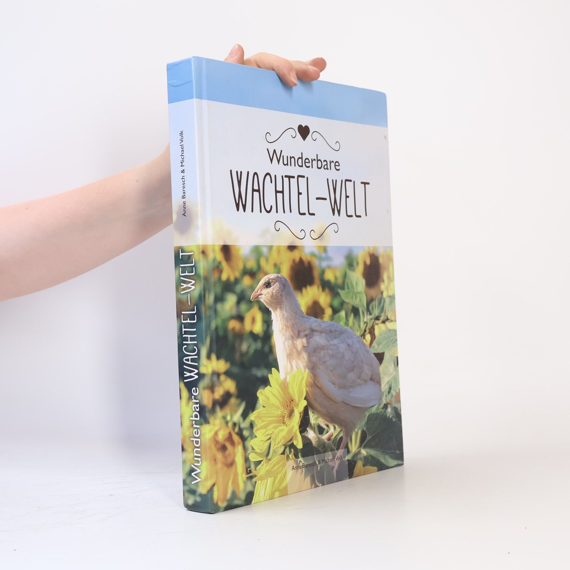 Wunderbare Wachtel-Welt