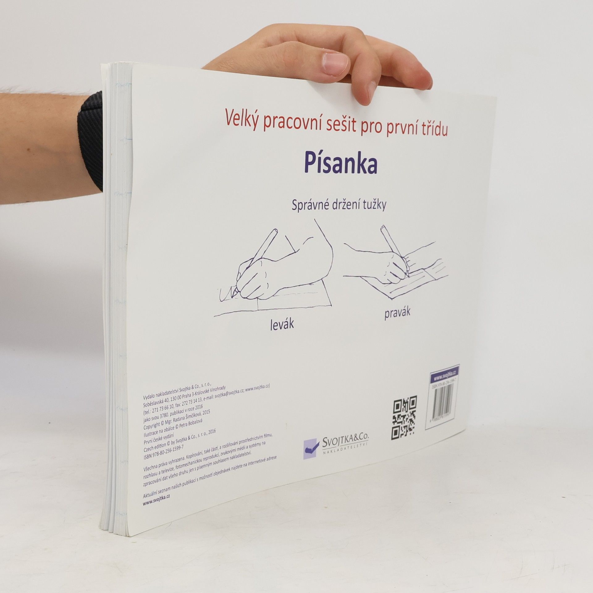 Various authors Písanka : velký pracovní sešit pro první třídu