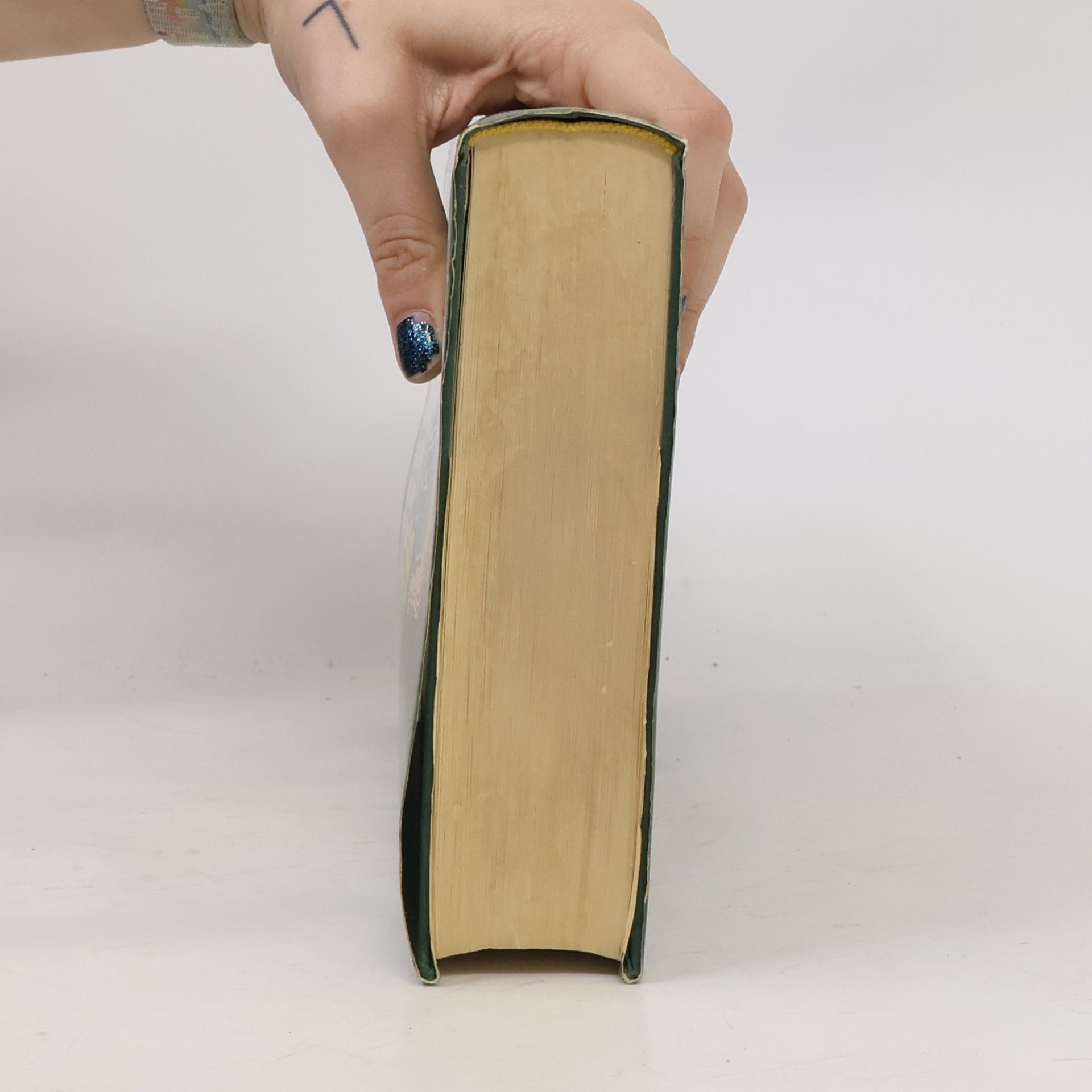Rolf Stühmer Das große Buch der Naturheilkunde