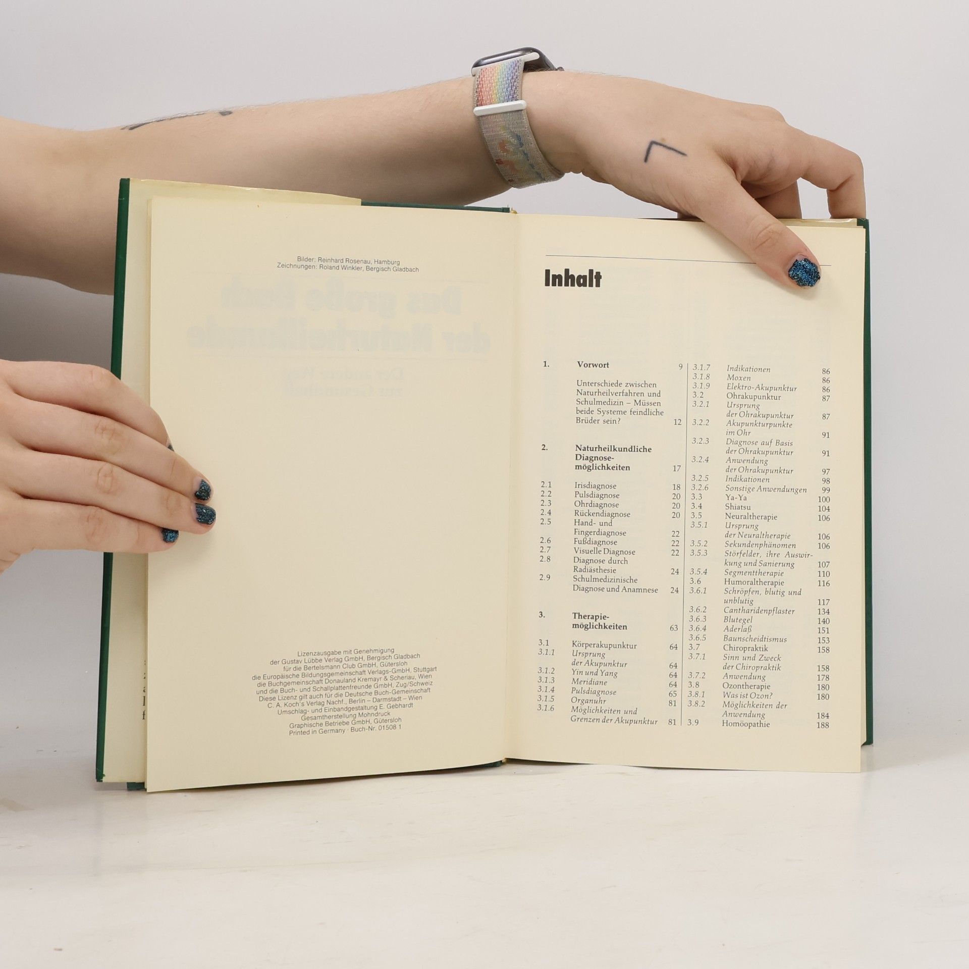 Rolf Stühmer Das große Buch der Naturheilkunde