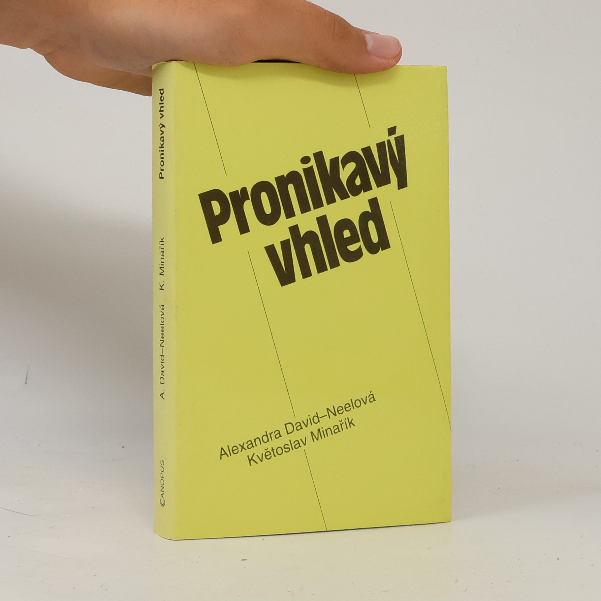Květoslav Minařík Pronikavý vhled