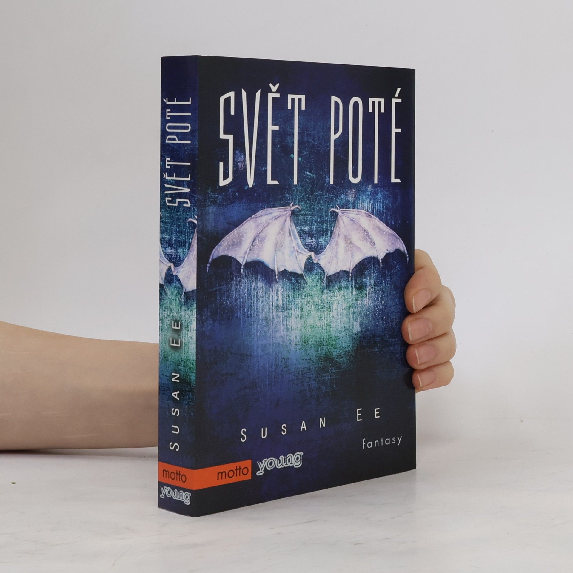 Susan Ee Svět poté