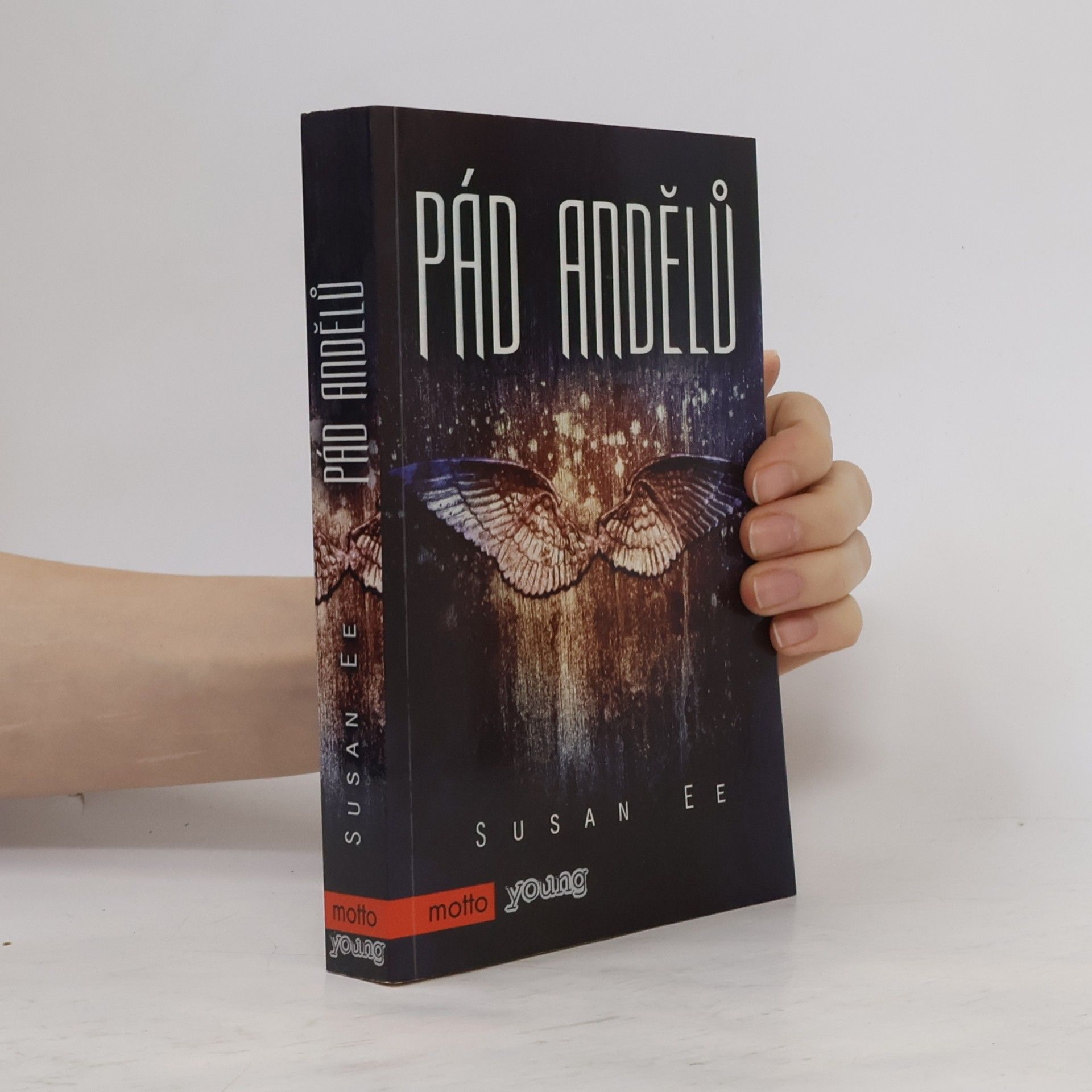 Susan Ee Pád andělů