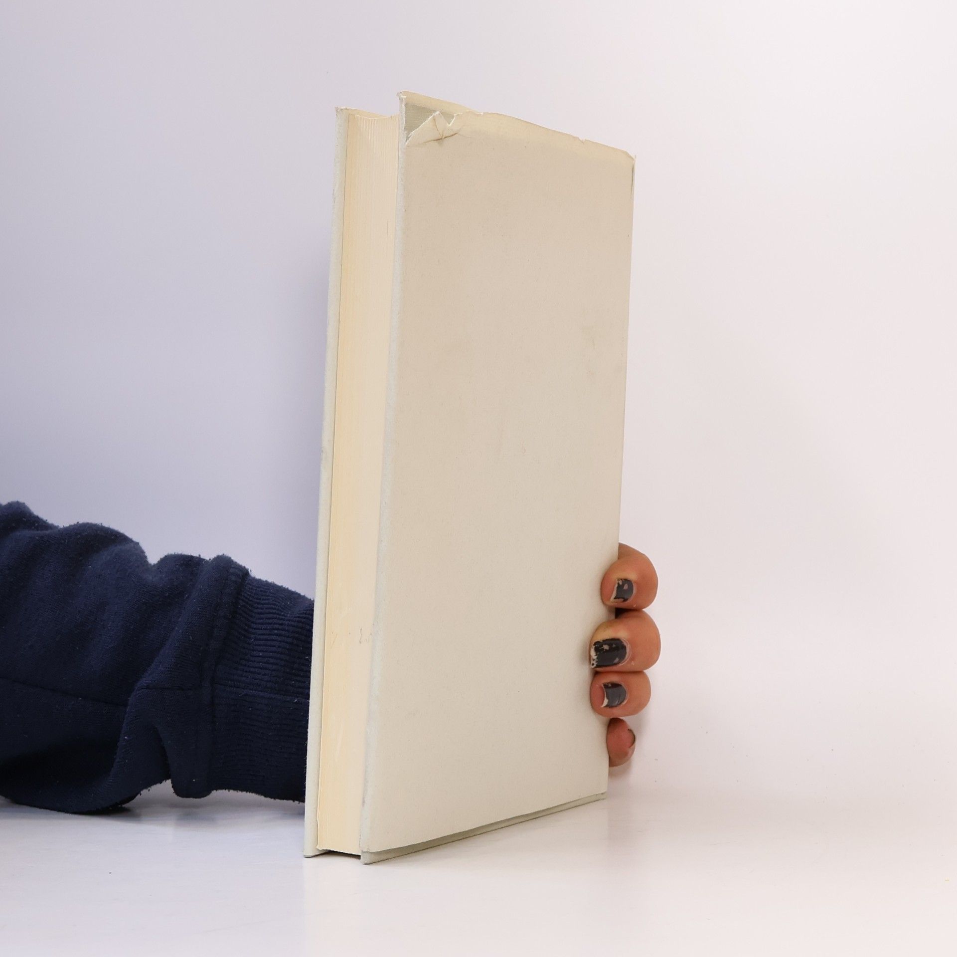 Gerhard Schmidt Henkel Mythos und Dichtunng