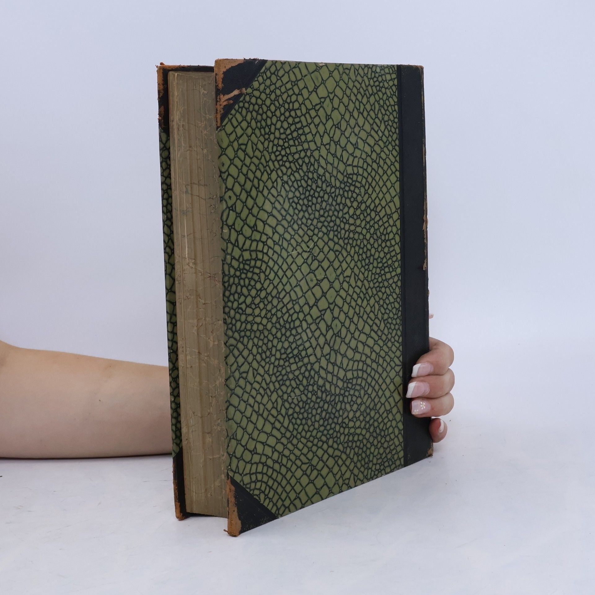 Autorenkollektiv Das Buch der Erfindungen, Gewerbe und Industrien