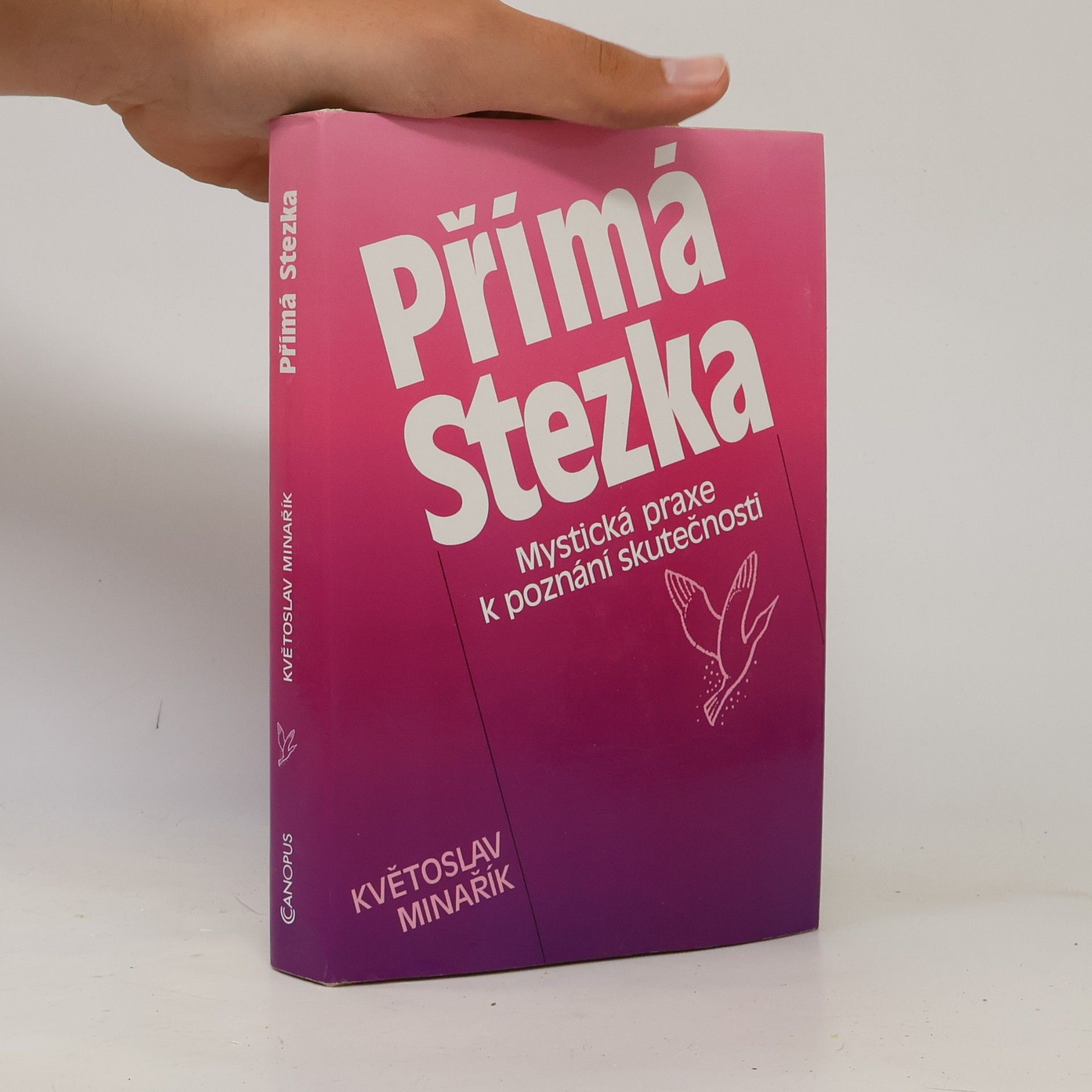 Kvetoslav Minarik Přímá stezka