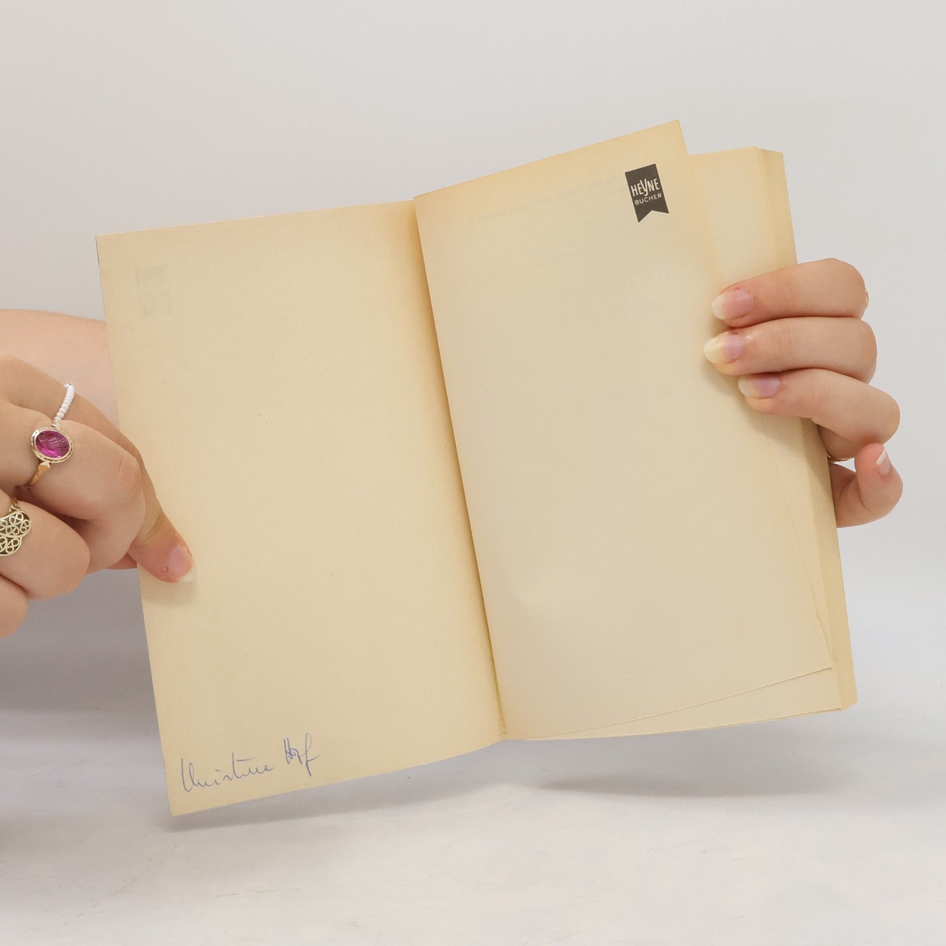 Iris Murdoch Das italienische Mädchen