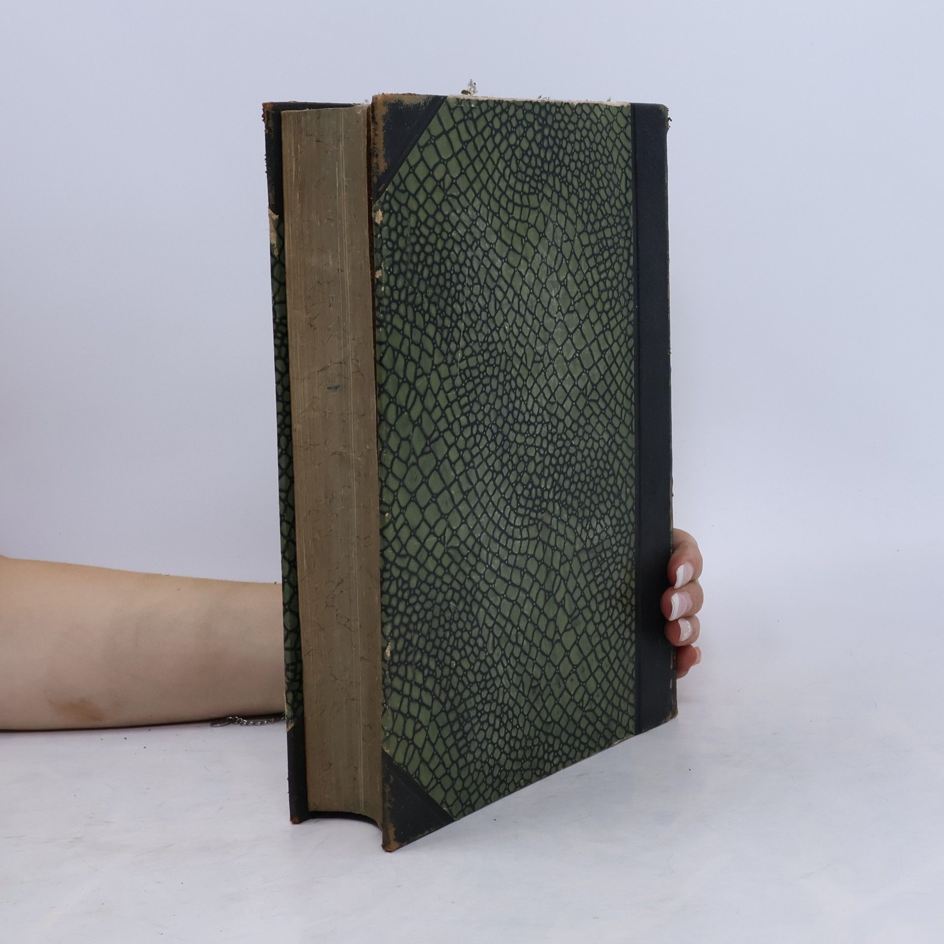 Autorenkollektiv Das Buch der Erfindungen, Gewerbe und Industrien, Vol. 4