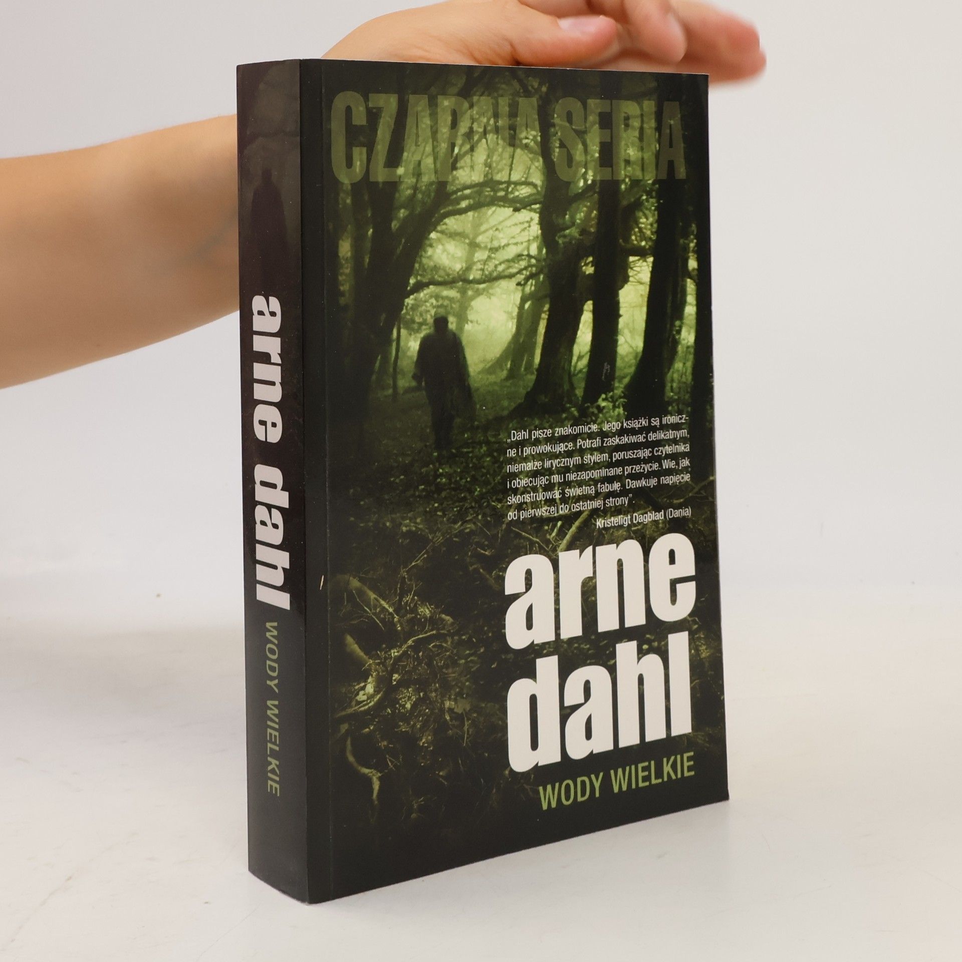 Arne Dahl Wody wielkie