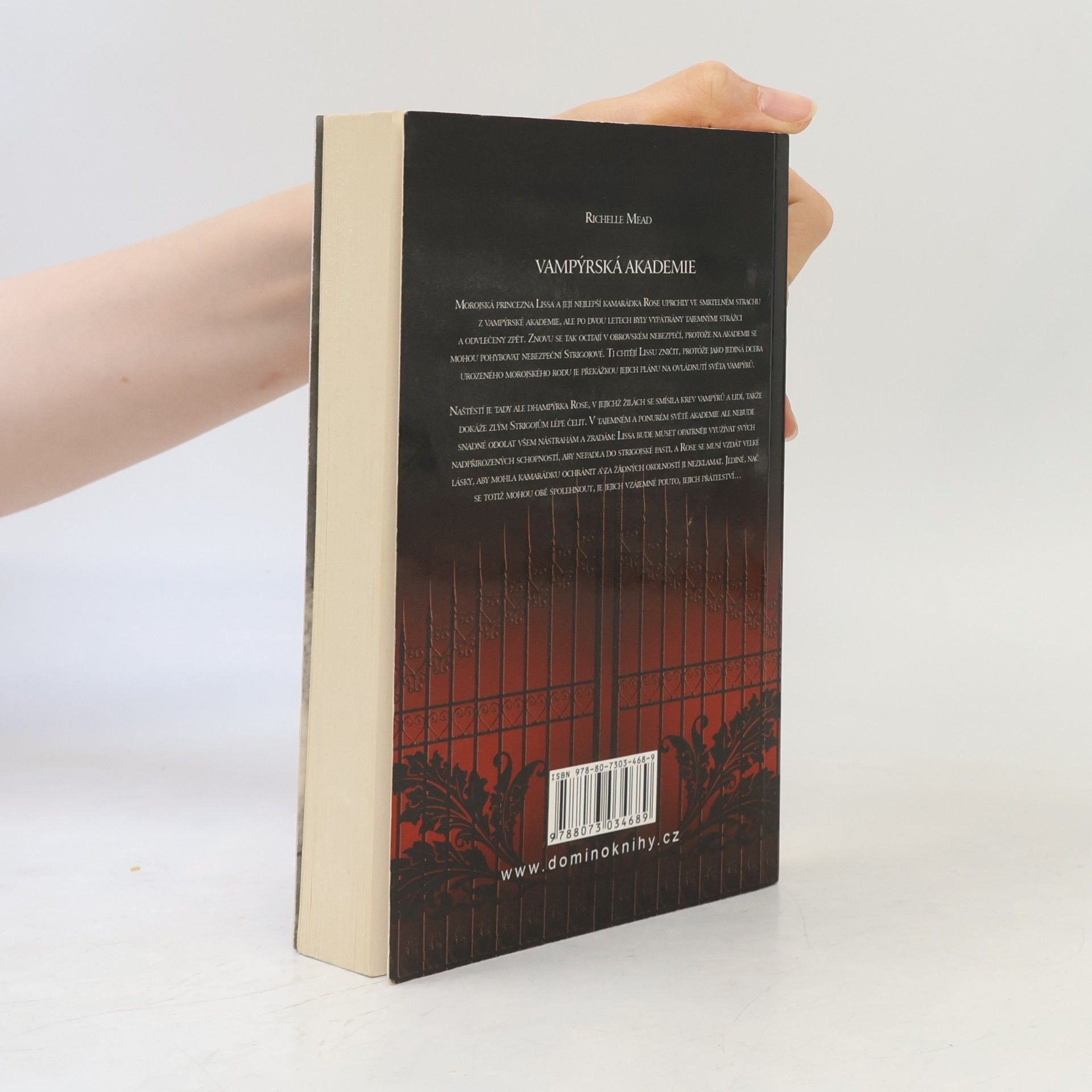 Richelle Mead Vampýrská akademie
