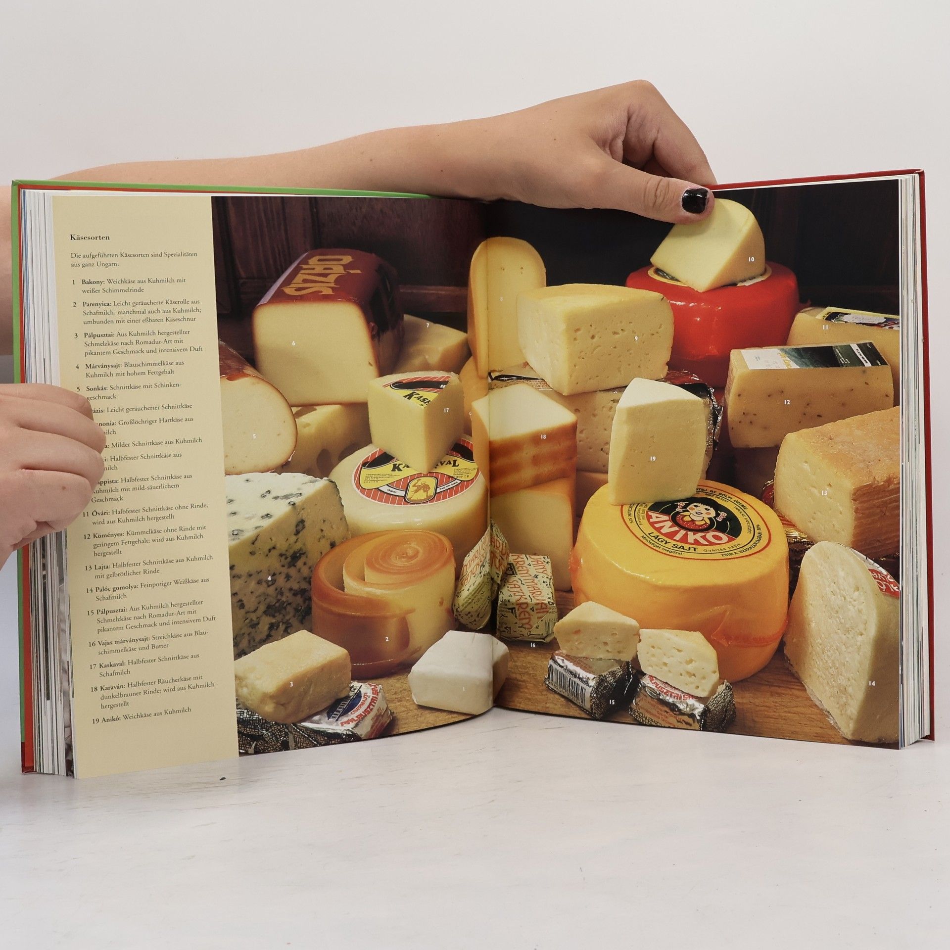 Anikó Gergely Culinaria Ungarn