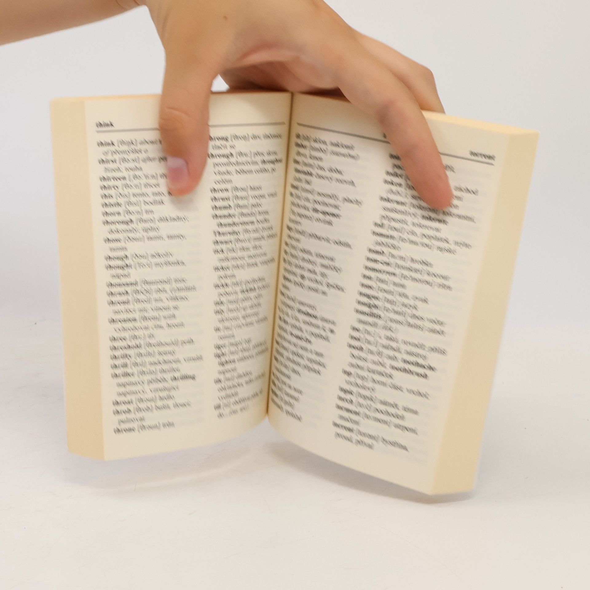Various authors Anglicko-český, česko-anglický slovník