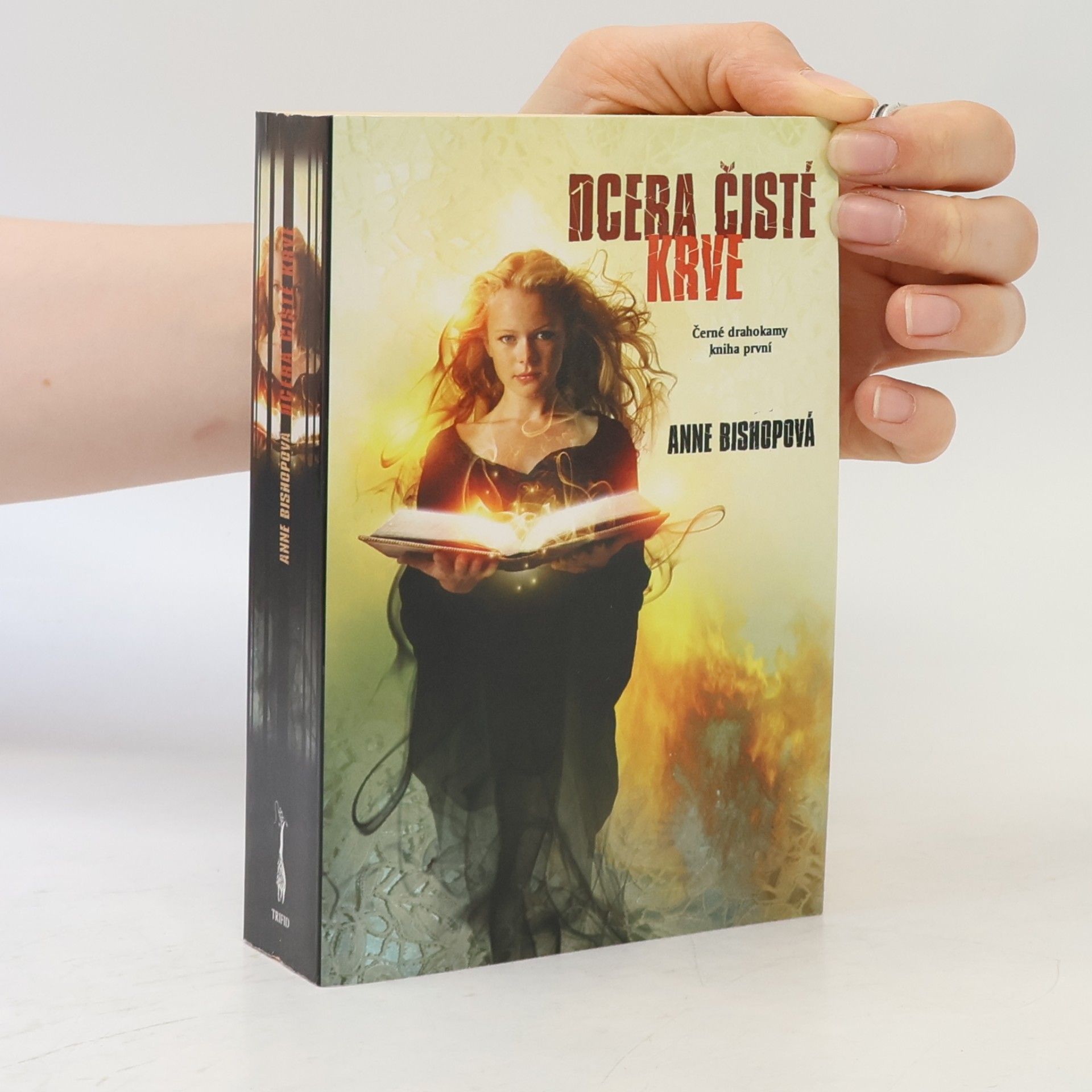 Anne Bishop Dcera čisté krve - Černé drahokam (1. díl série)