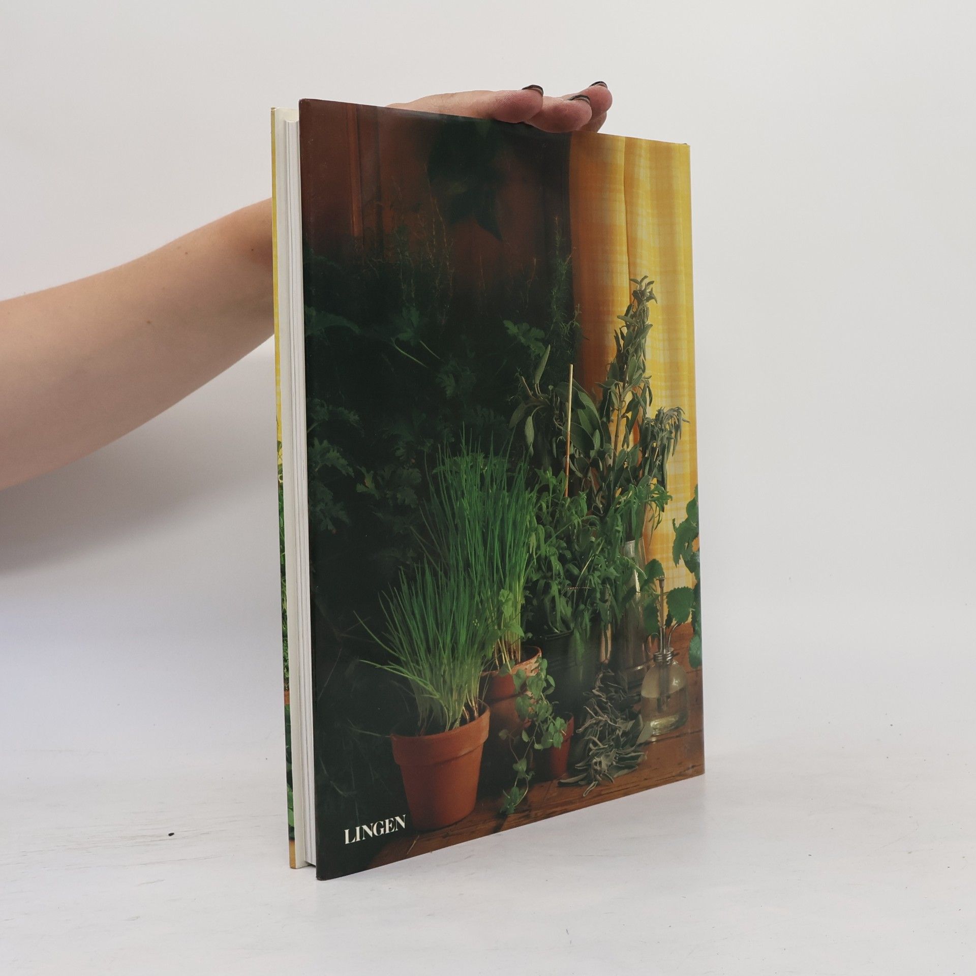 Kolektiv autorů Kräuter in Garten und Küche